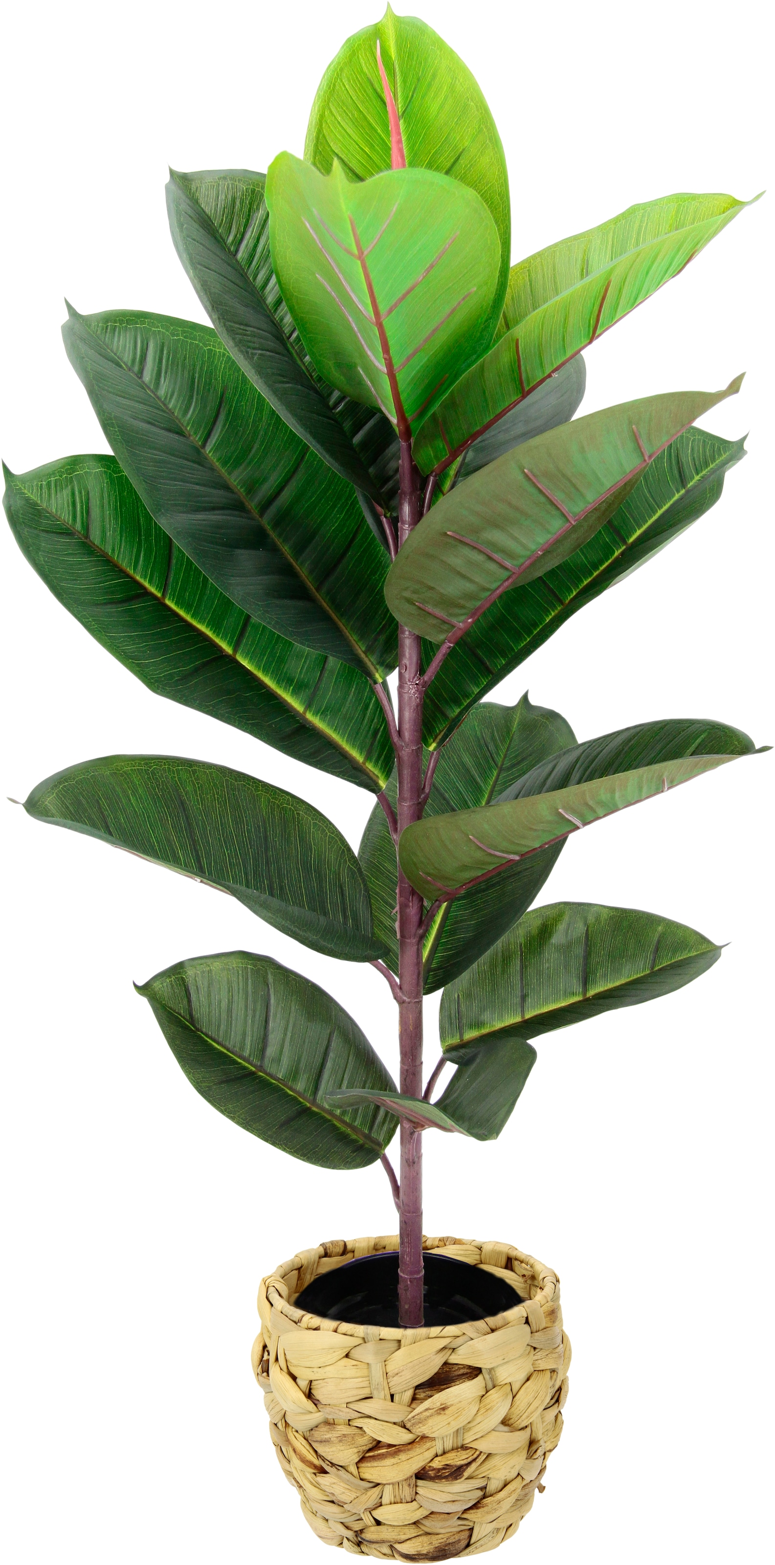 I.GE.A. Kunstbaum »Gummibaum«, Mit Übertopf, Ficus Elastica