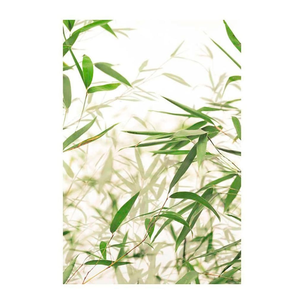 Komar Poster »Bamboo Leaves«, Pflanzen-Blätter, (1 St.)