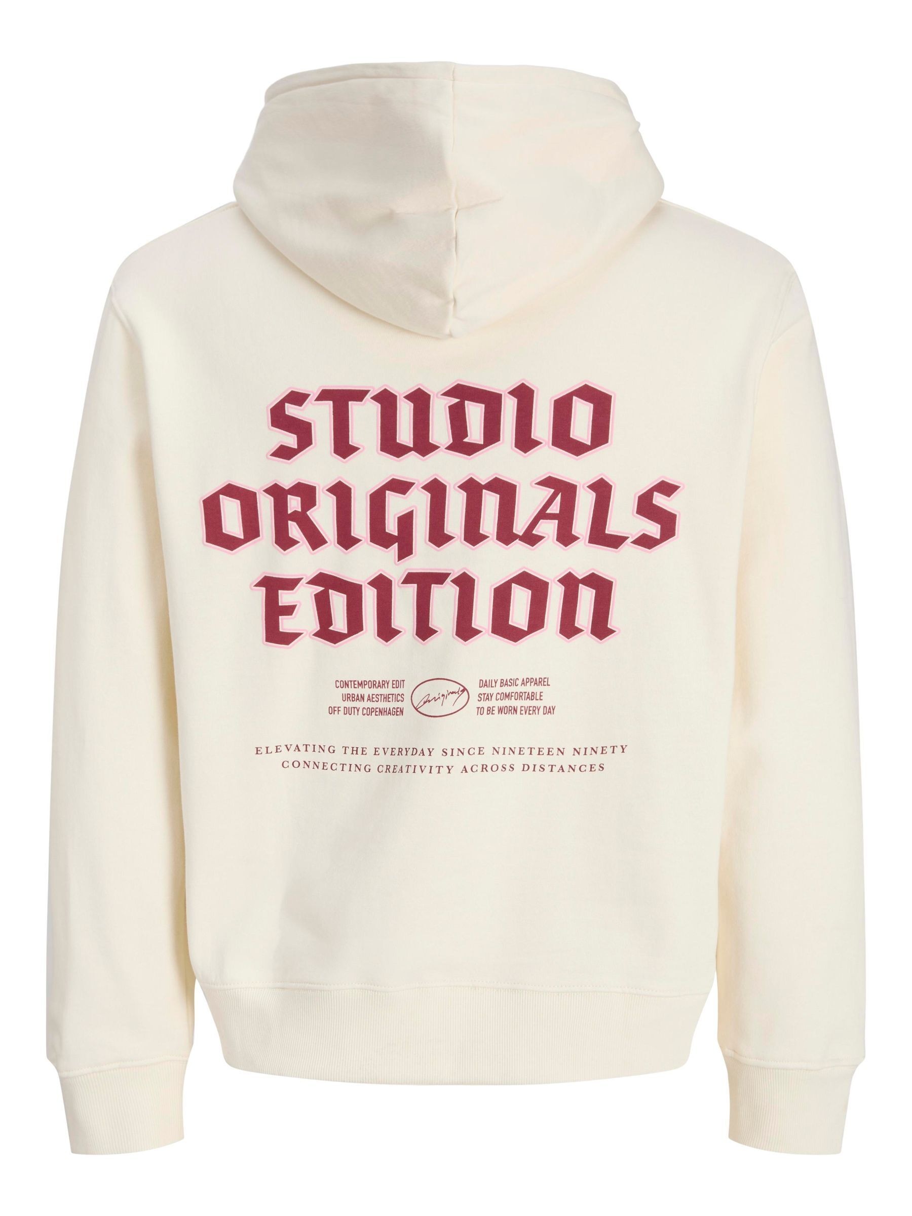 Jack & Jones PlusSize Kapuzensweatshirt »JORMEADOWS SWEAT HOOD PLS«
