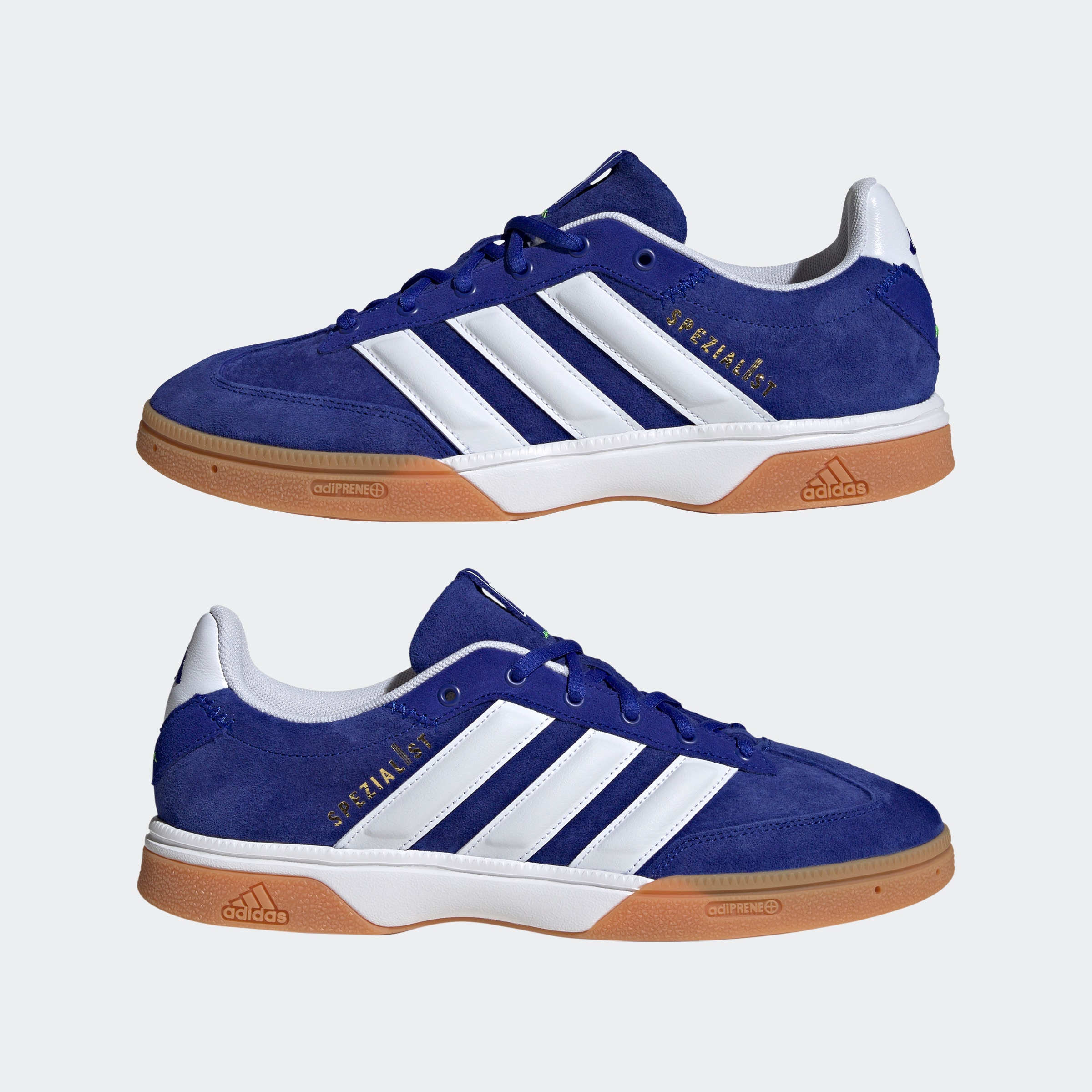 adidas Performance Hallenschuh »SPEZIALIST INDOOR«