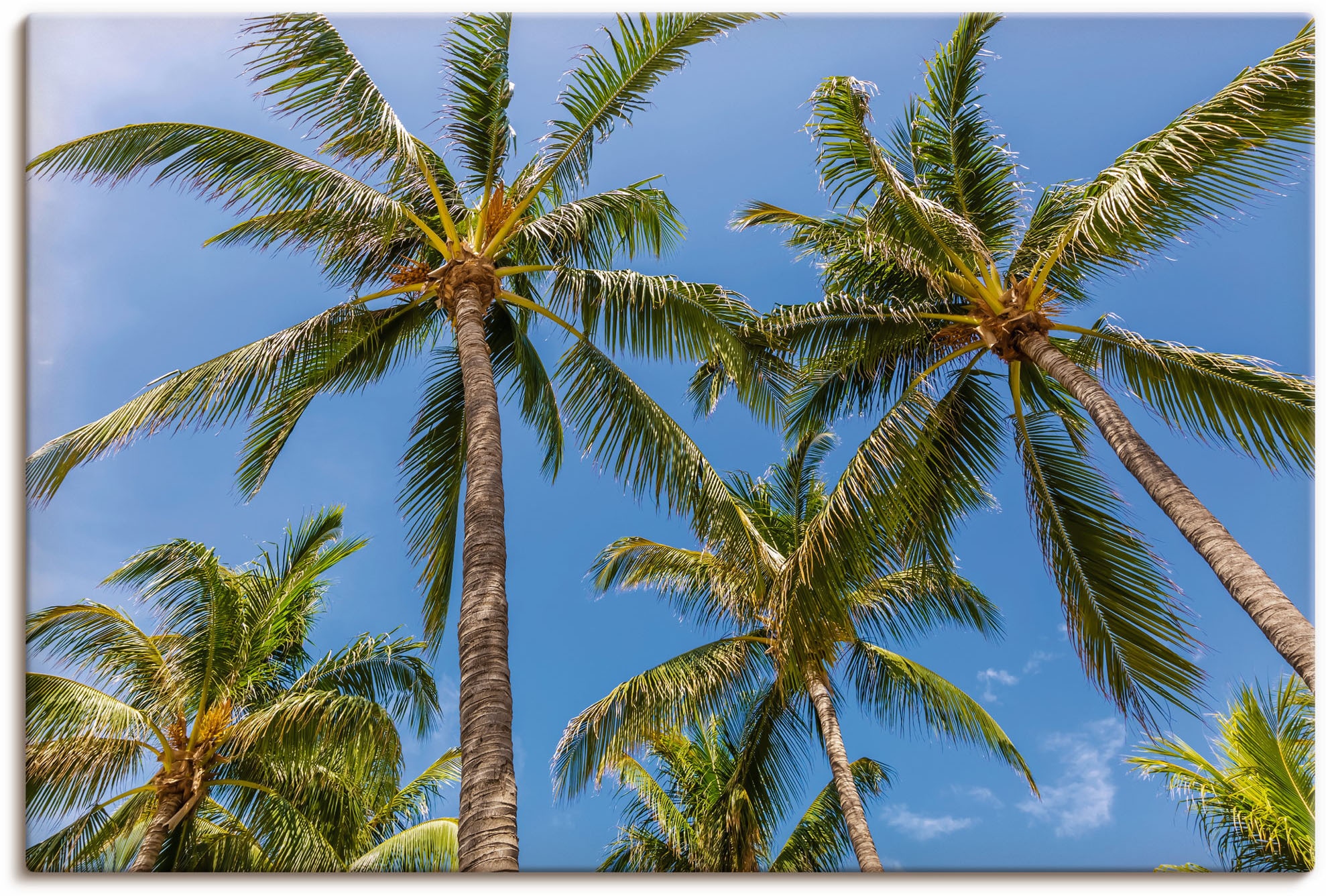 Artland Wandbild »Palmen am Strand«, versch. Leinwandbild, als in bestellen oder Wandaufkleber bequem (1 Größen Strandbilder, St.), Poster Alubild
