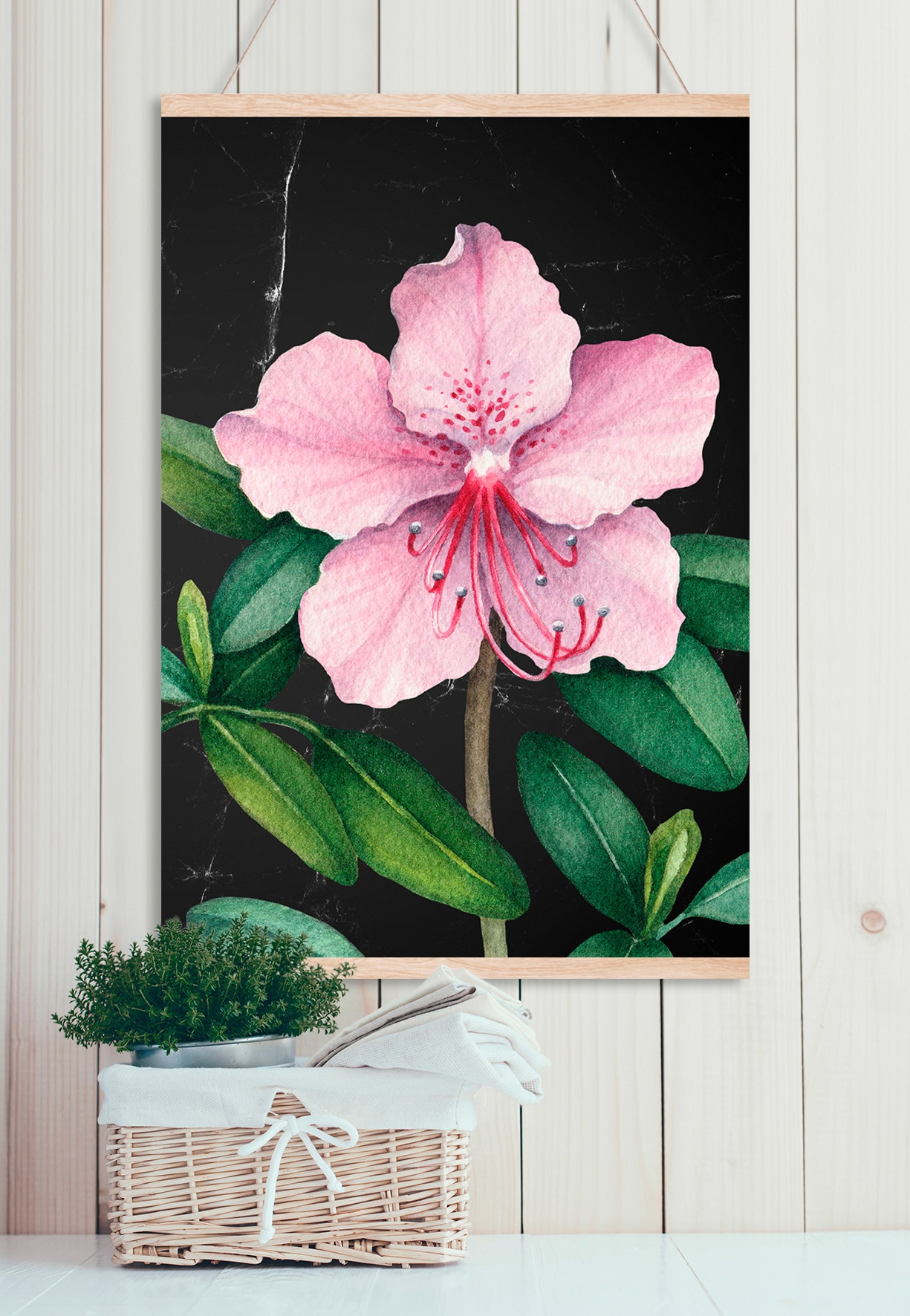 queence Leinwandbild »Rosa Blüte«, 50x70 cm