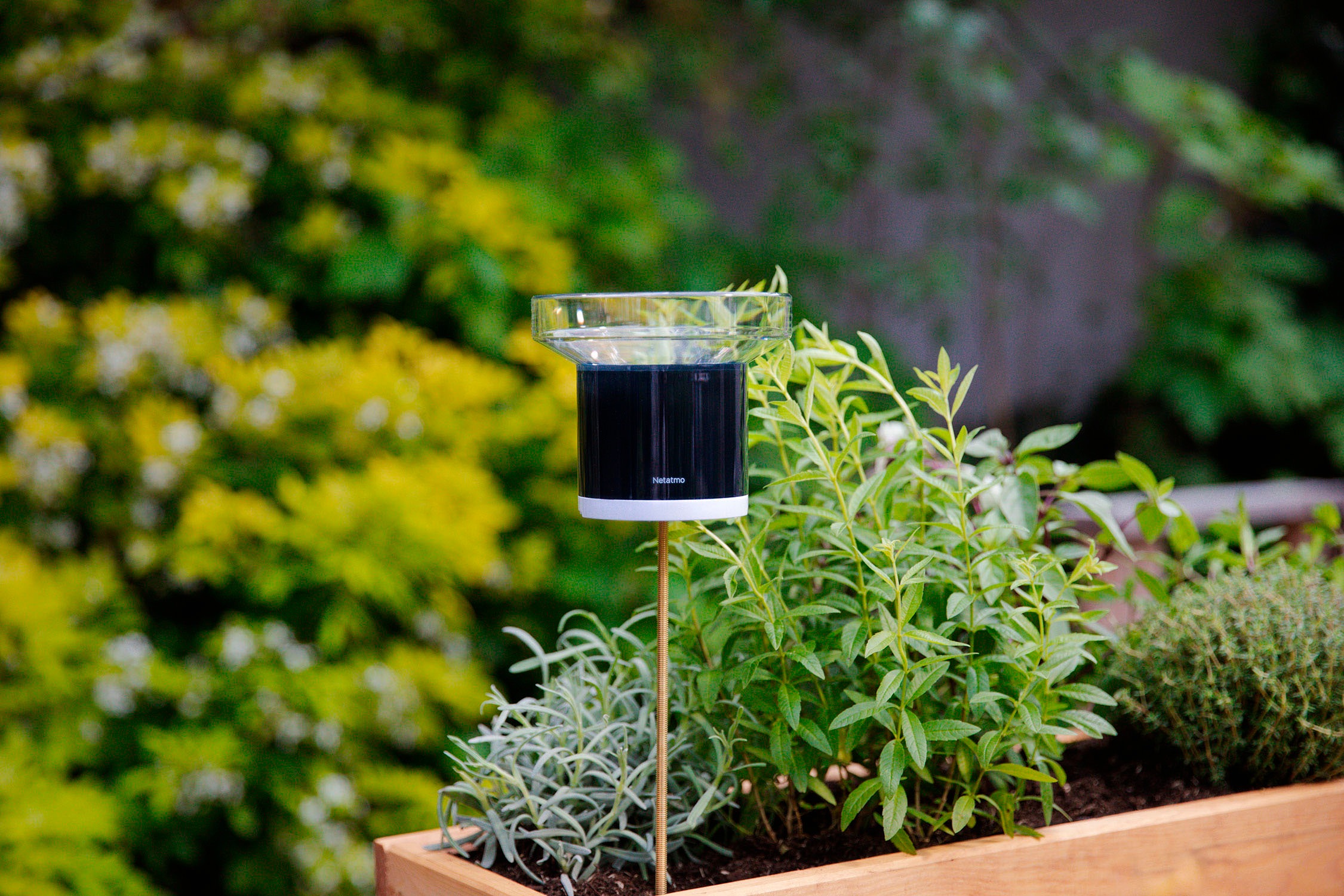 Netatmo Sensor »Smarter Regenmesser«