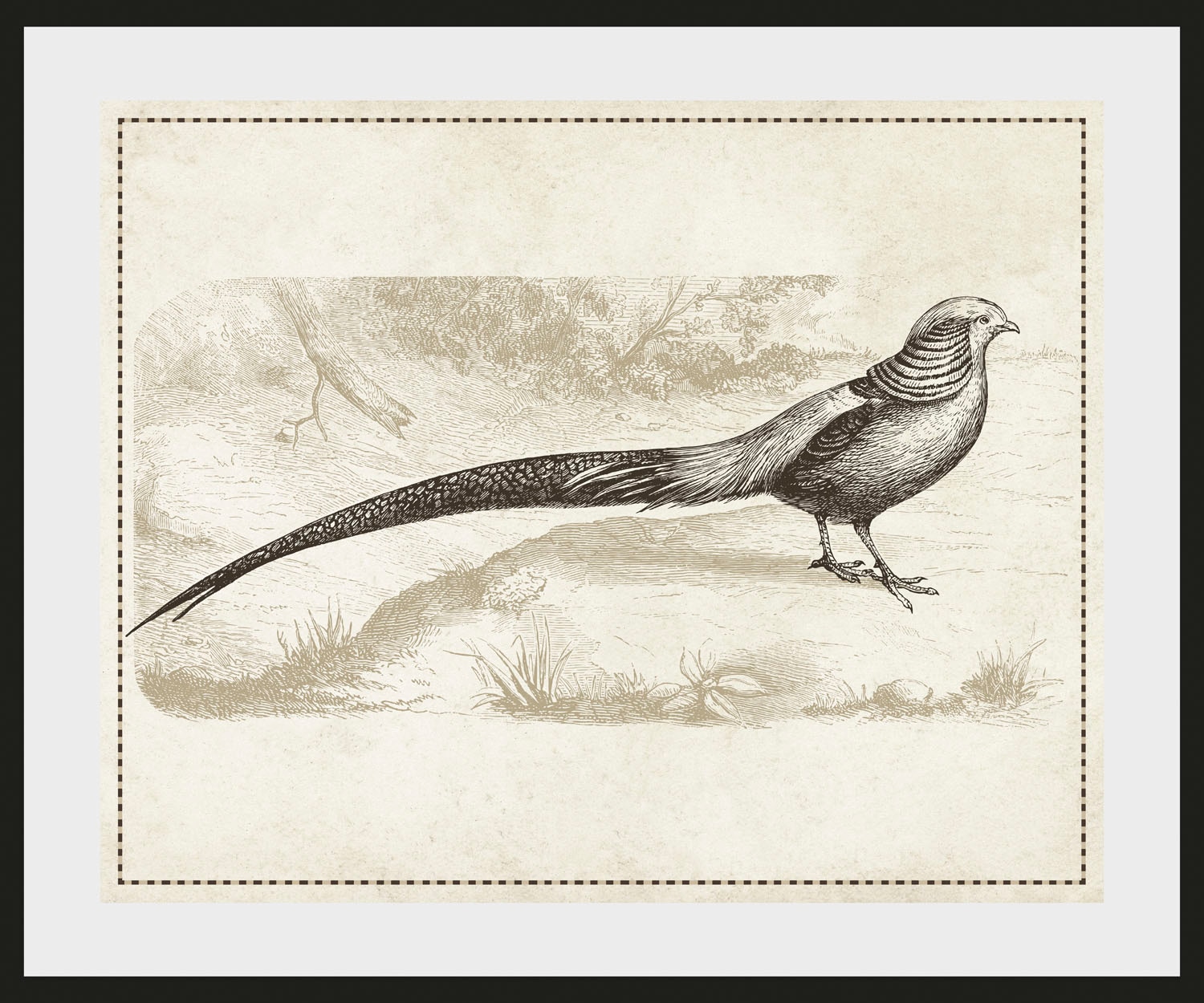 queence Bild »Daniel« Kunst | Vogelbilder | Vögel | historische Ereignisse 1 Stk. tlg. HD Premium Poster-Druck inkl. Holzrahmen