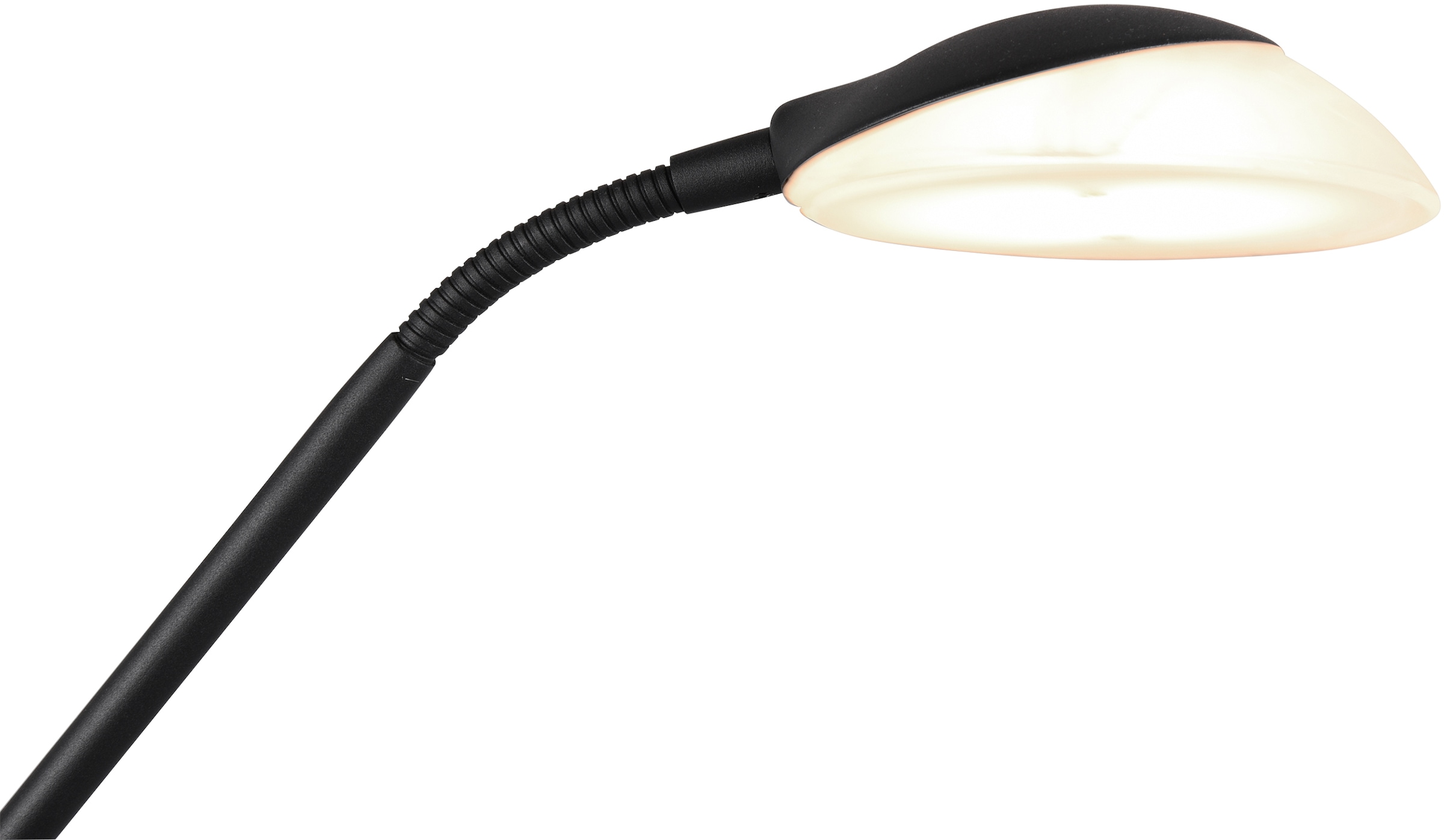 TRIO Leuchten LED Stehlampe »Orson«, Getrennt online Dimmer,Memory 1 | kaufen schaltbar,integrierter Garantie Funktion mit flammig-flammig, 3 XXL Jahren
