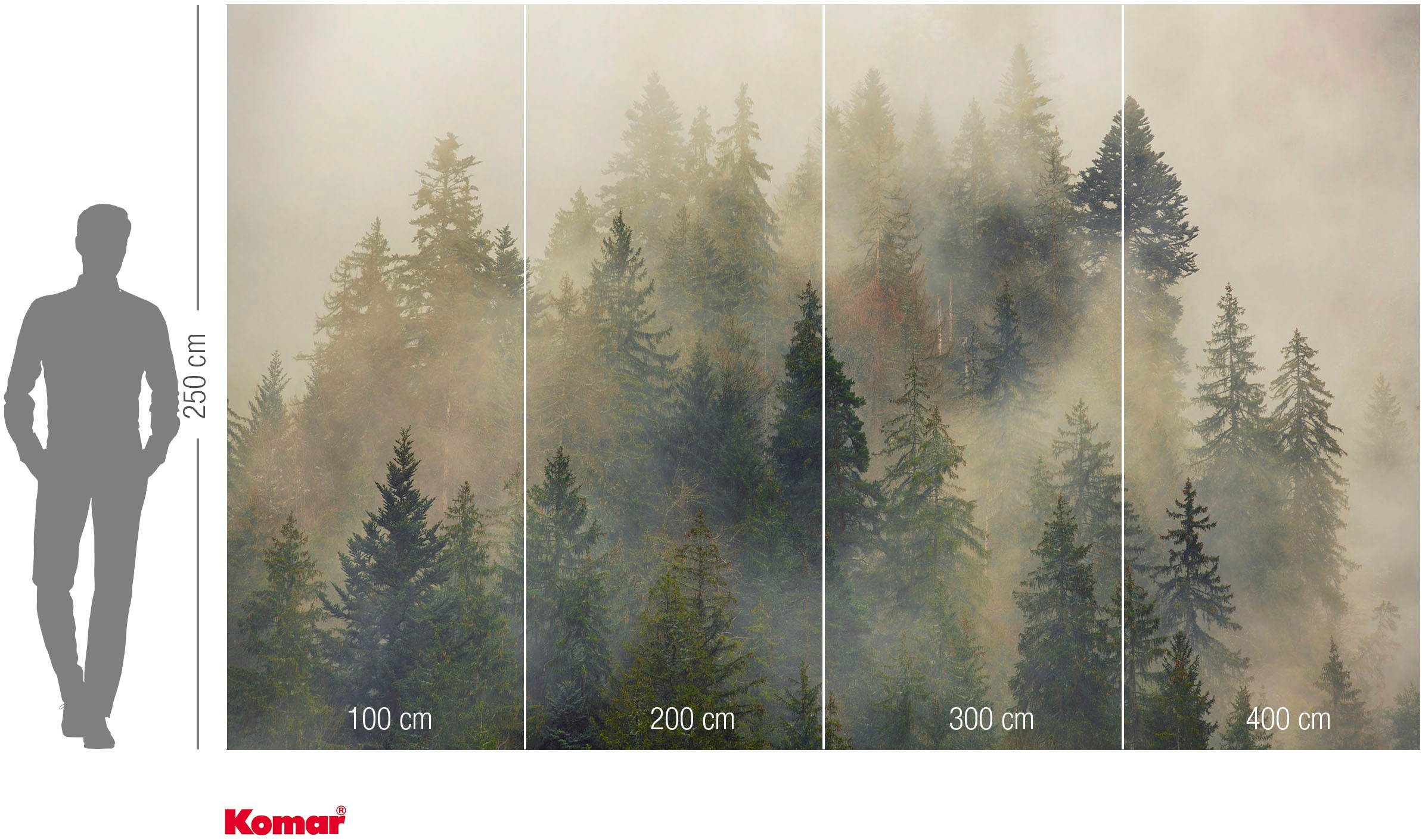 Komar Fototapete »Vlies Fototapete - Mystical Firs - Größe 400 x 250 cm« Motiv | bedruckt glatt