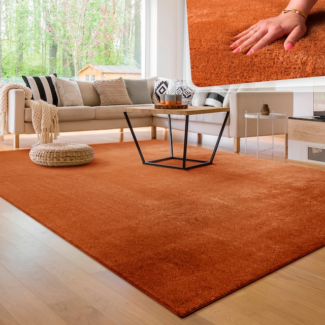 Paco Home Teppich »Cadiz 630«, rechteckig, Uni-Farben, besonders weich,  auch als Läufer erhältlich, waschbar online kaufen
