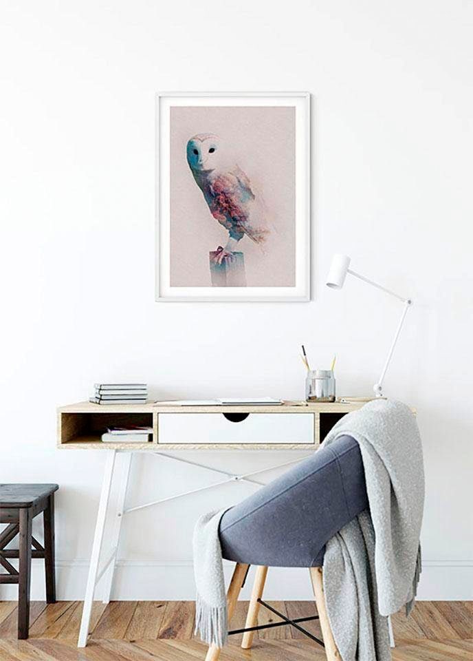Komar Bild »Animals Forest Owl« Tiere 1 Stk. tlg. Wandbild zur Dekoration - ohne Rahmen