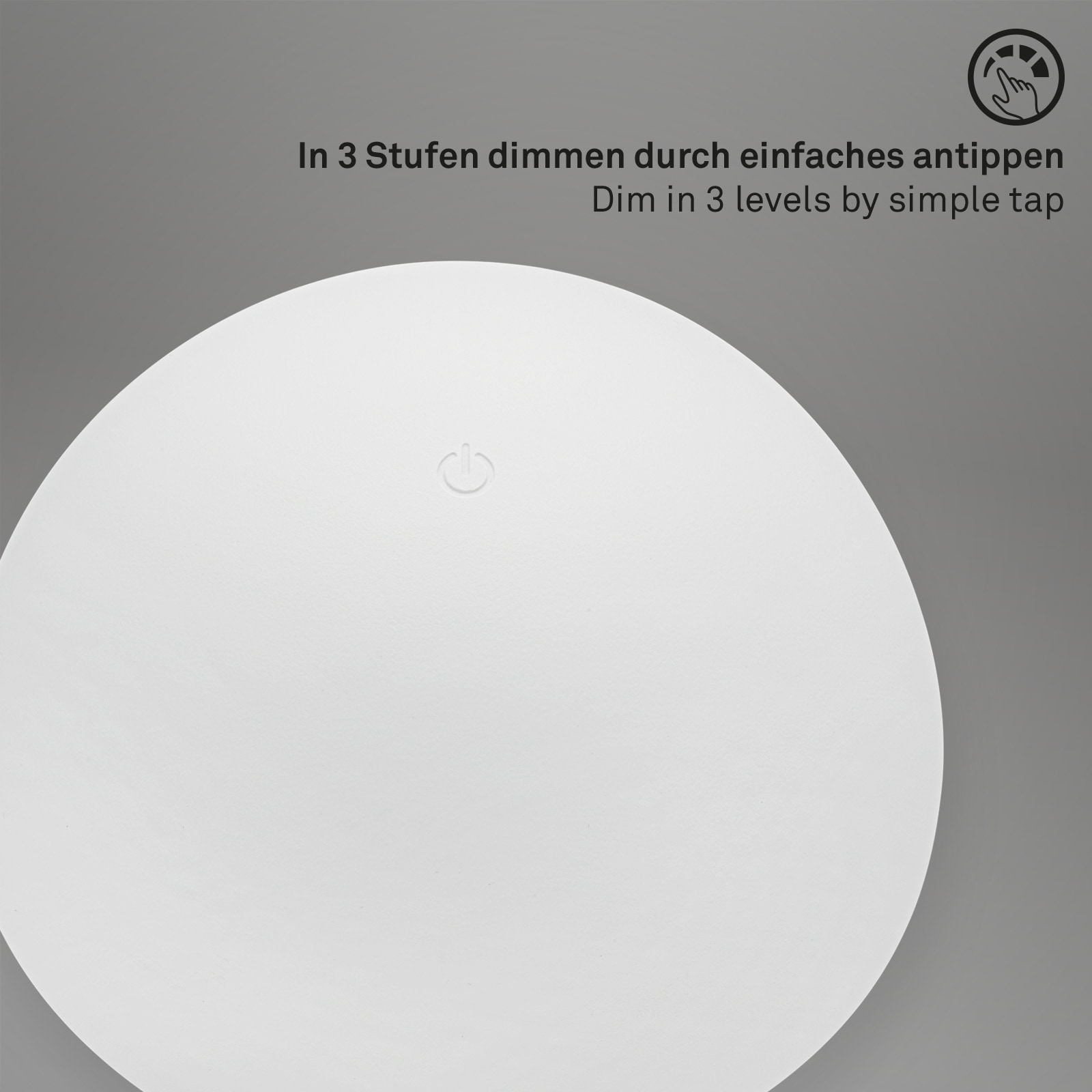 Briloner Leuchten Tischleuchte »Tischleuchte FUNGO«