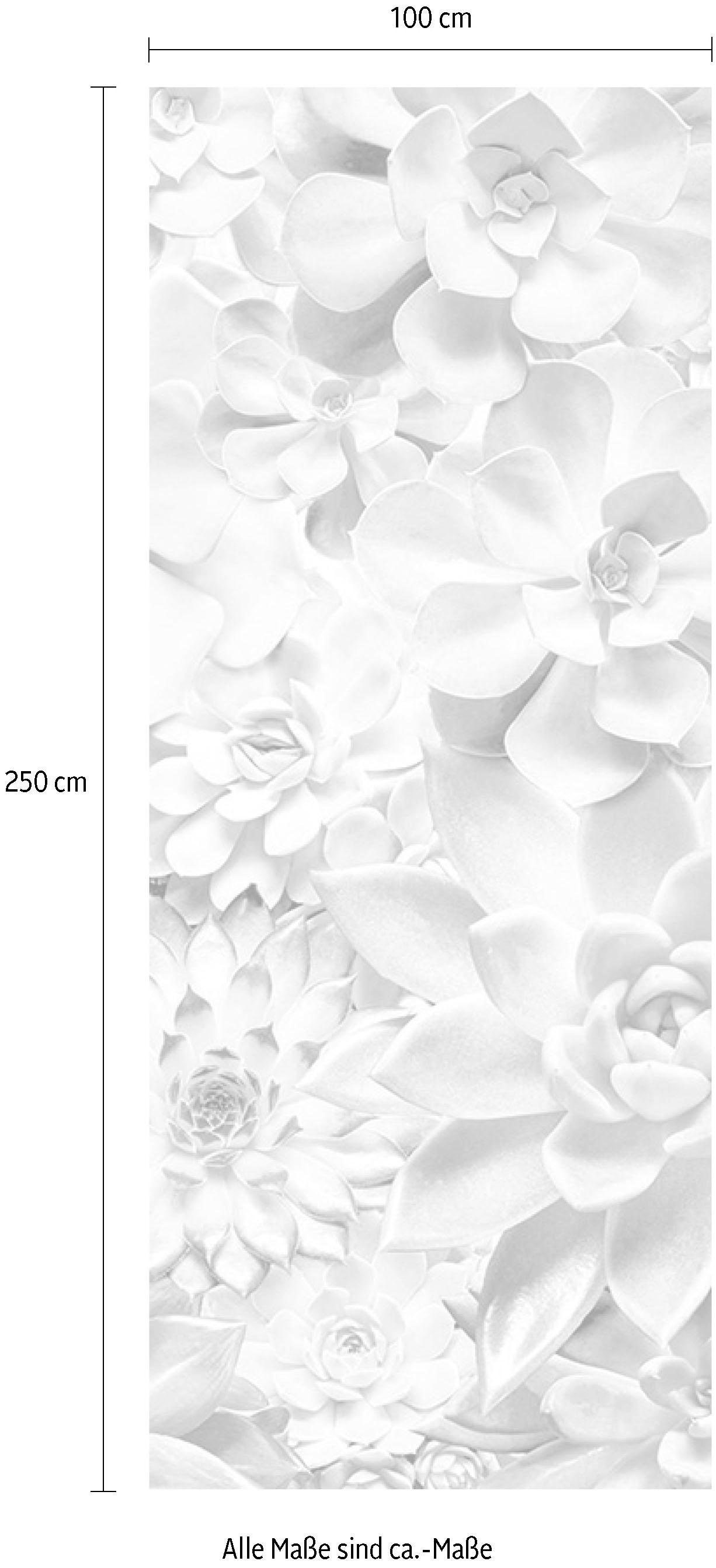 Komar Vliestapete »Digitaldruck Vlies -  Shades Black and White Panel« bedruckt glatt Wohnzimmer, Schlafzimmer