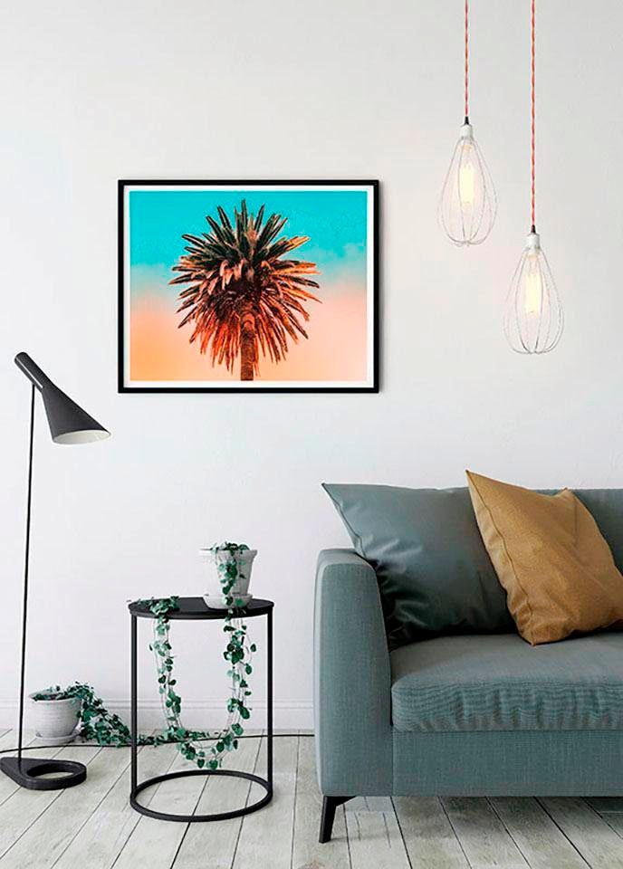 Komar Bild »Palm Tree« Blätter | Pflanzen 1 Stk. tlg. Wandbild zur Dekoration - ohne Rahmen