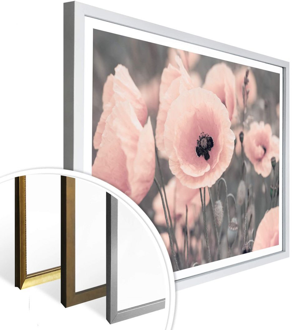 St.) »Rosa auf Raten bestellen Wall-Art Mohnblume«, Blumen, Poster (1