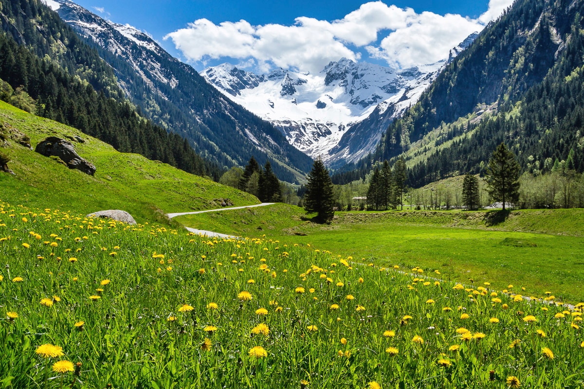 Papermoon, Fototapete »Alpenlandschaft«, bunt, Vlies, B/L: 3,5 m x 2,6 m - Bahnen: 7 Stk., bunt