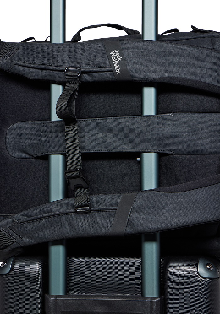 Jack Wolfskin Board Bag »TRAVELTOPIA CABIN PACK 40«