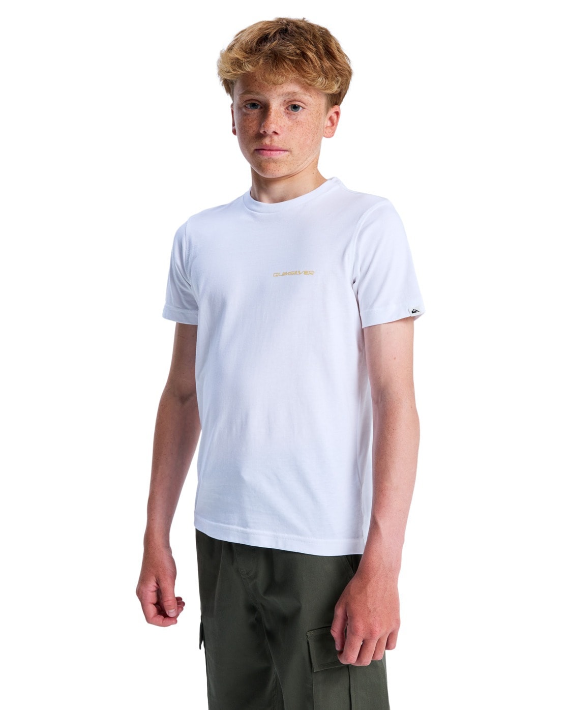 Quiksilver T-Shirt »Ev Desert Waves«