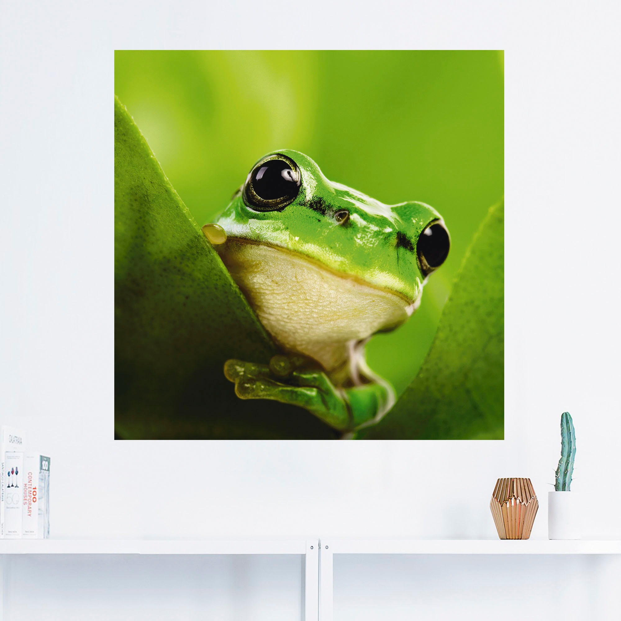 Artland Wandbild »Ausspähender Frosch«, Wassertiere, (1 St.), als Alubild,  Leinwandbild, Wandaufkleber oder Poster in versch. Größen bequem kaufen