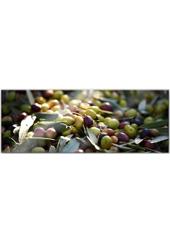 Acrylglasbild »Mediterrane Oliven Panorama«