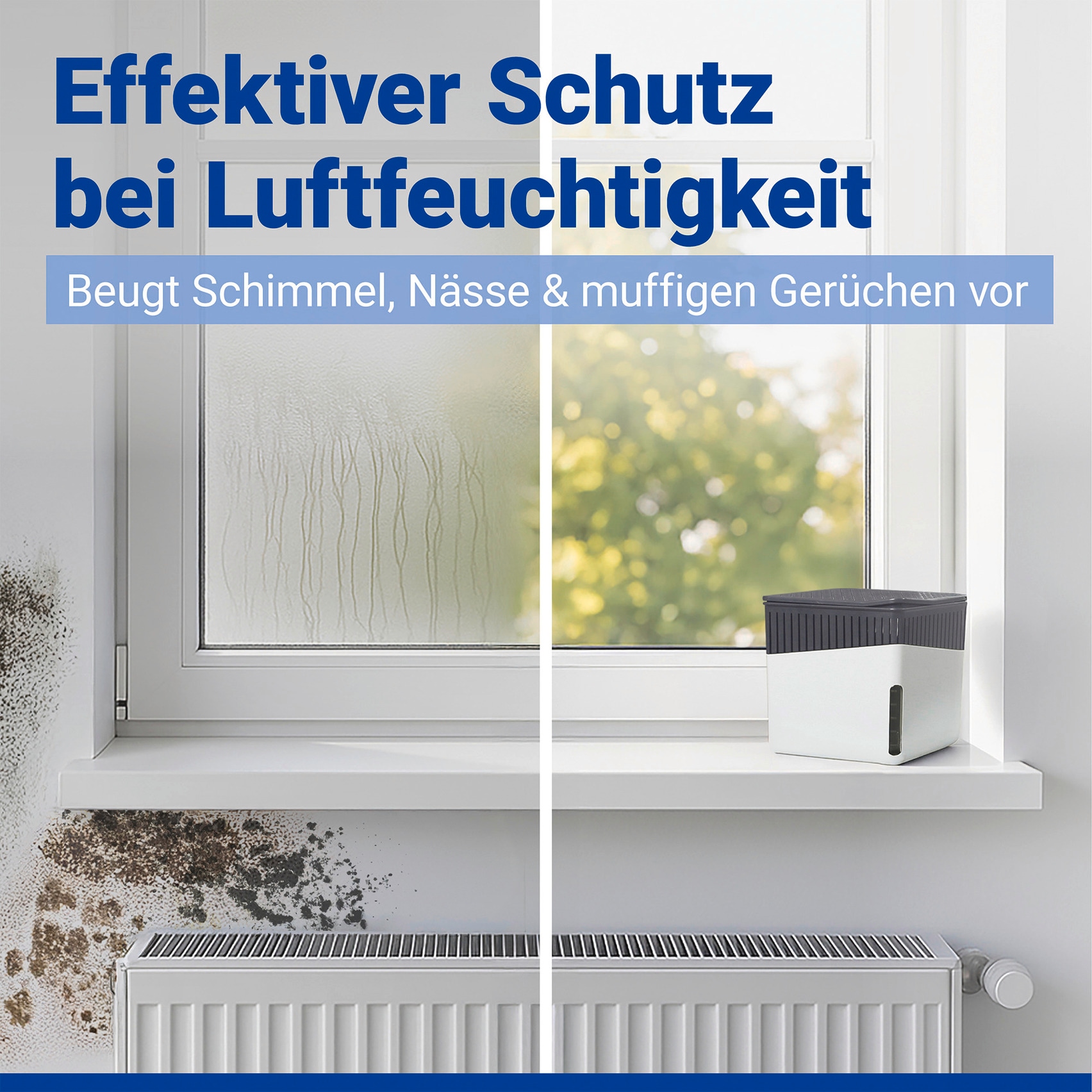 WENKO Luftentfeuchter »Modell Cube« für 40 m³ Räume Tank 0,8 l mit 2 x 500 g Entfeuchter-Blöcken, für Räume bis 40 m³