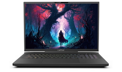 Gaming-Notebook »Highend Gaming I81-503«, Intel, Core i9, 1000 GB SSD