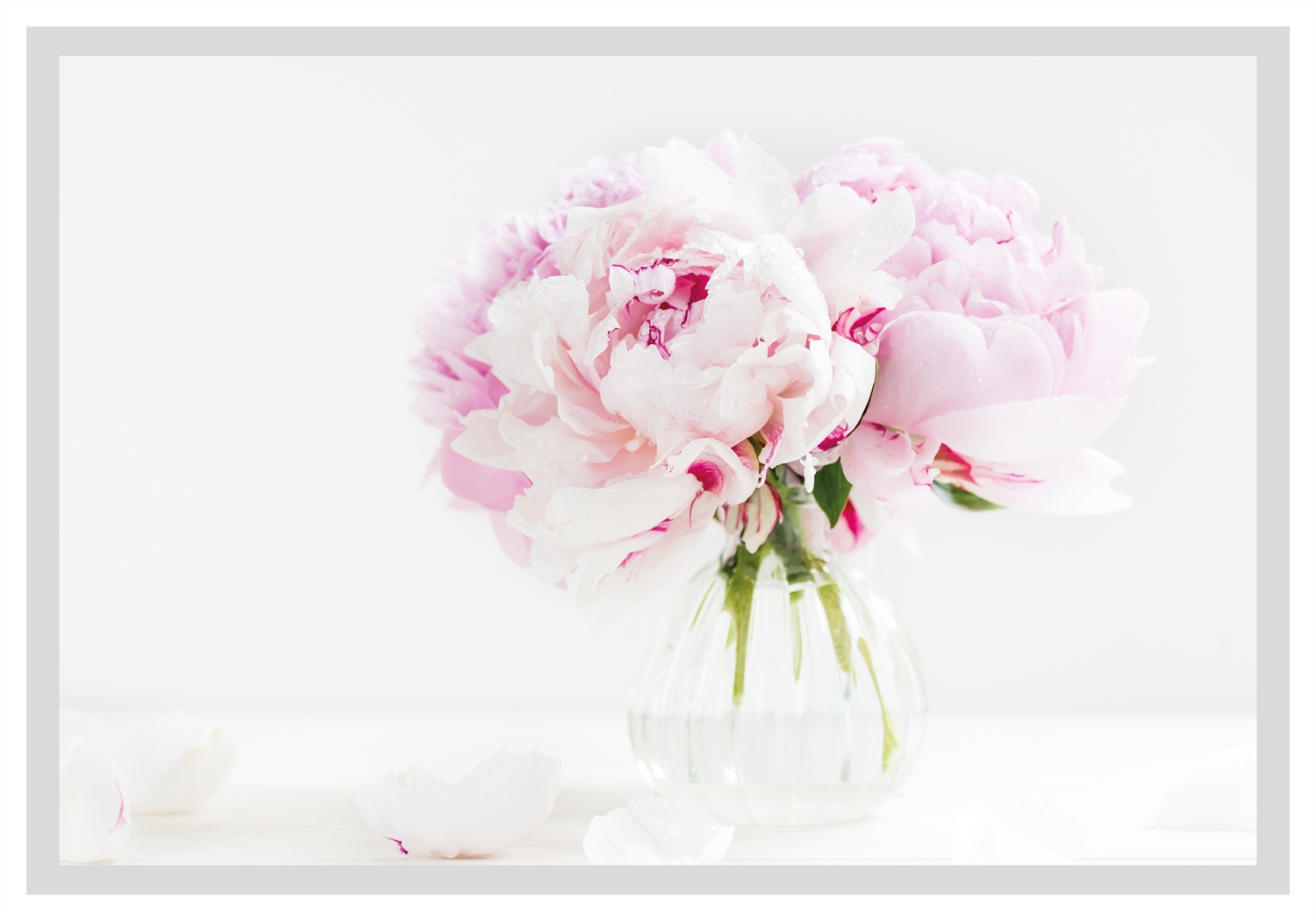 queence Bild »Carina«, Blumen, gerahmt, Rosen