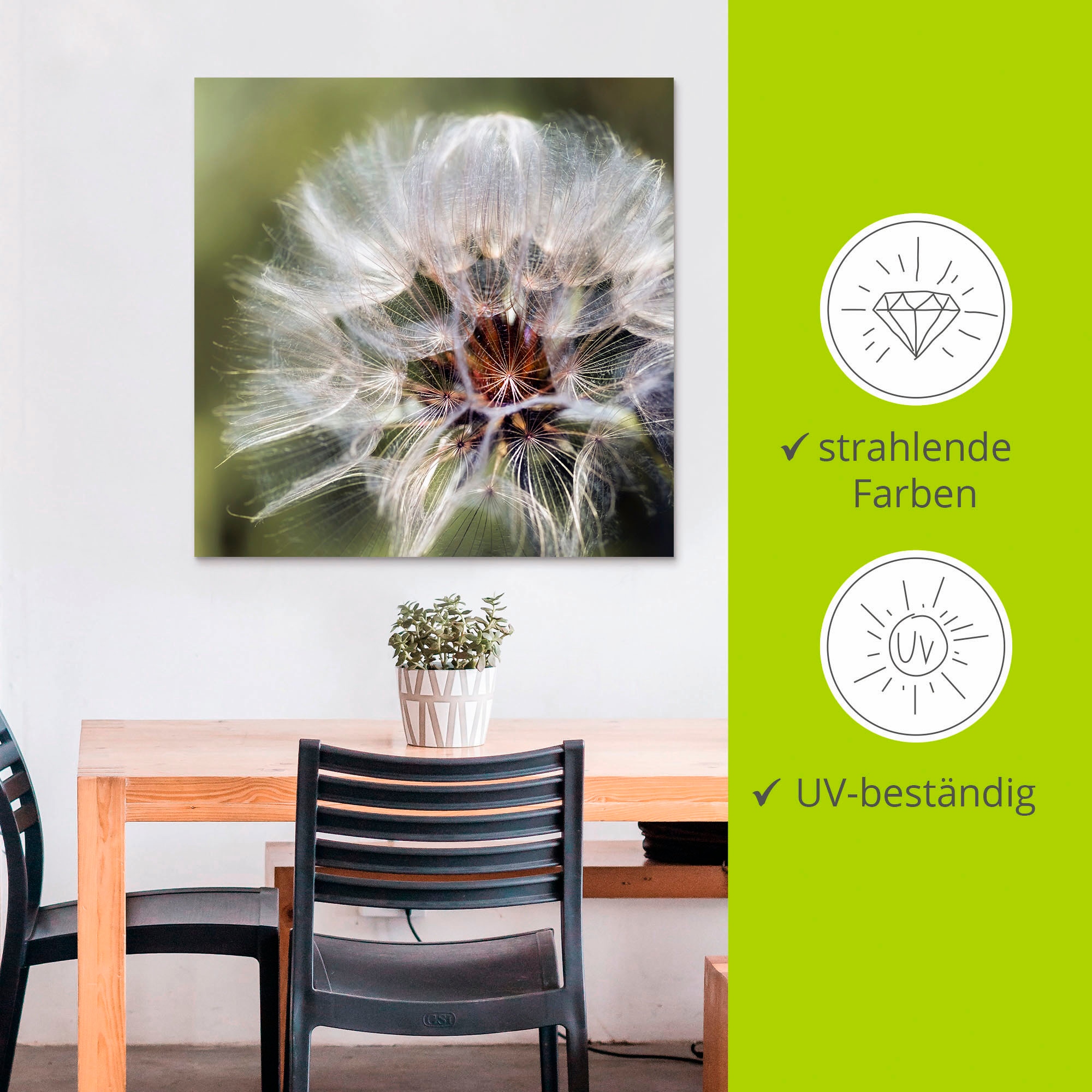 Artland Alu-Dibond-Druck »Pusteblume II« Blumen 1 Stk. tlg. für Innen- und Außenbereich geeignet, Outdoorbild