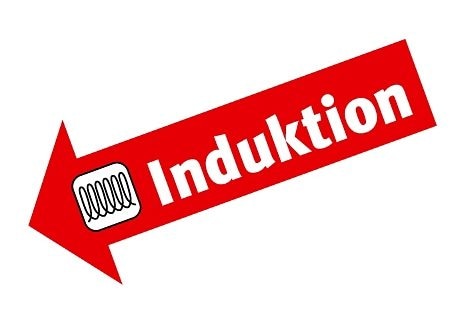 Elo Topf-Set »Rubin« Set, Bratentopf 20cm, Fleischtopf 16/20cm, Kasserolle 16cm, Gemüsetopf24 cm, 9 Stk. tlg. Edelstahl 18/10