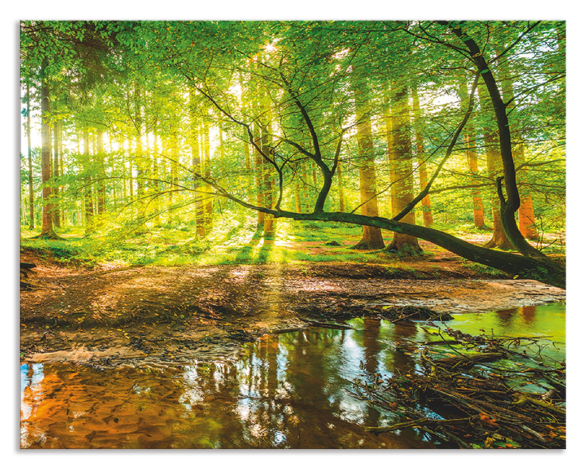 Artland Küchenrückwand »Wald mit Bach«, (1 tlg.), Alu Spritzschutz mit Klebeband, einfache Montage
