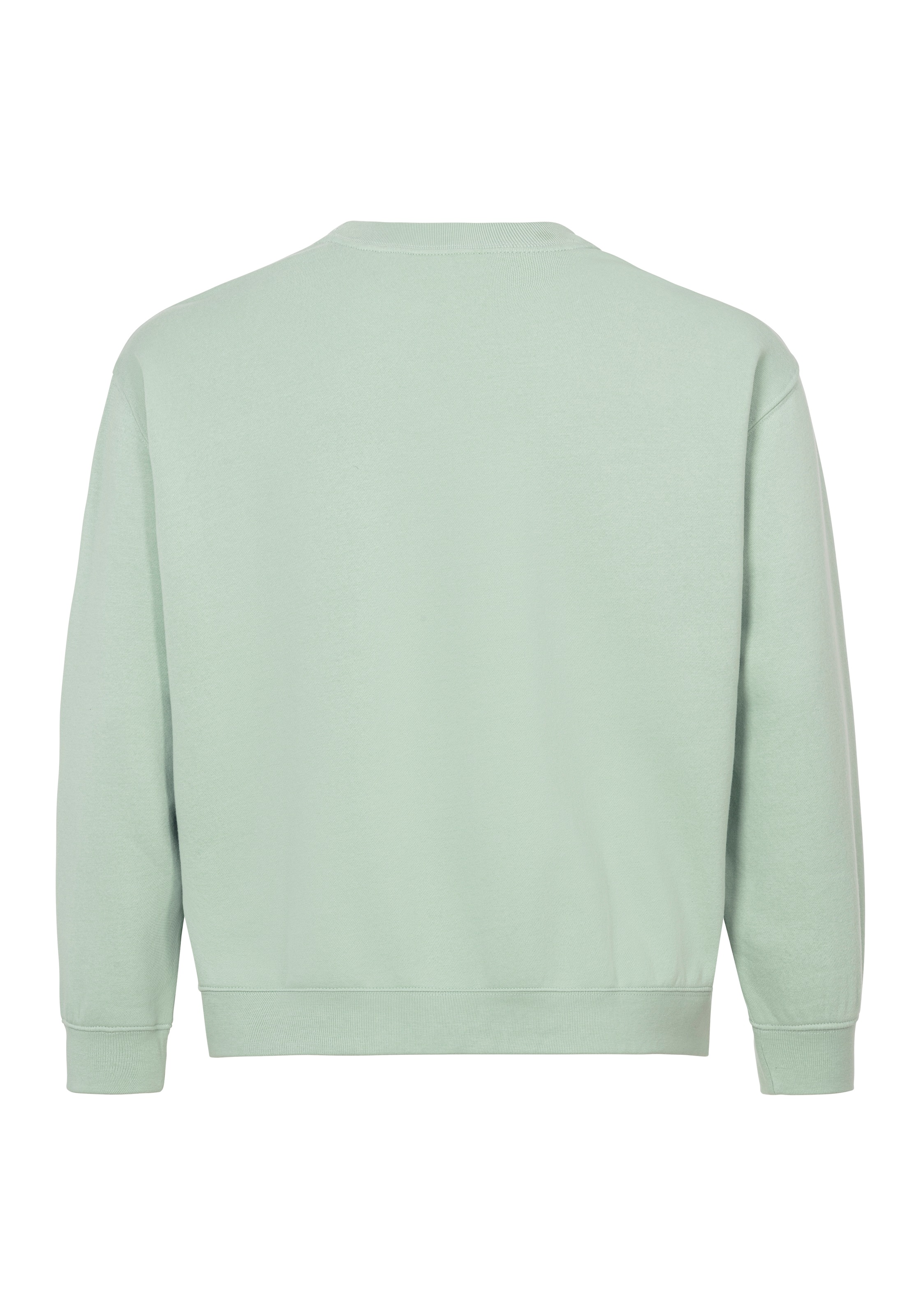 Levi's® Plus Sweatshirt »PL GR EVERYDAY CREW«