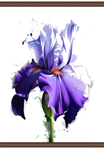 queence Leinwandbild »Lila Blüte«, 50x70 cm kaufen