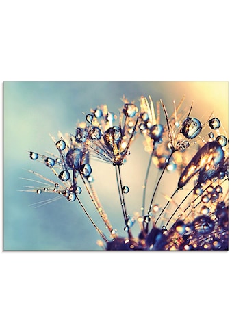 Glasbild »Pusteblume Glitzertau«, Blumen, (1 St.)