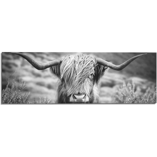 Bulle Bild«, kaufen Nahaufnahme Hochlandrind Highlander »Wandbild Wandbild (1 bequem - Reinders! St.) Tiermotiv Kuh, -