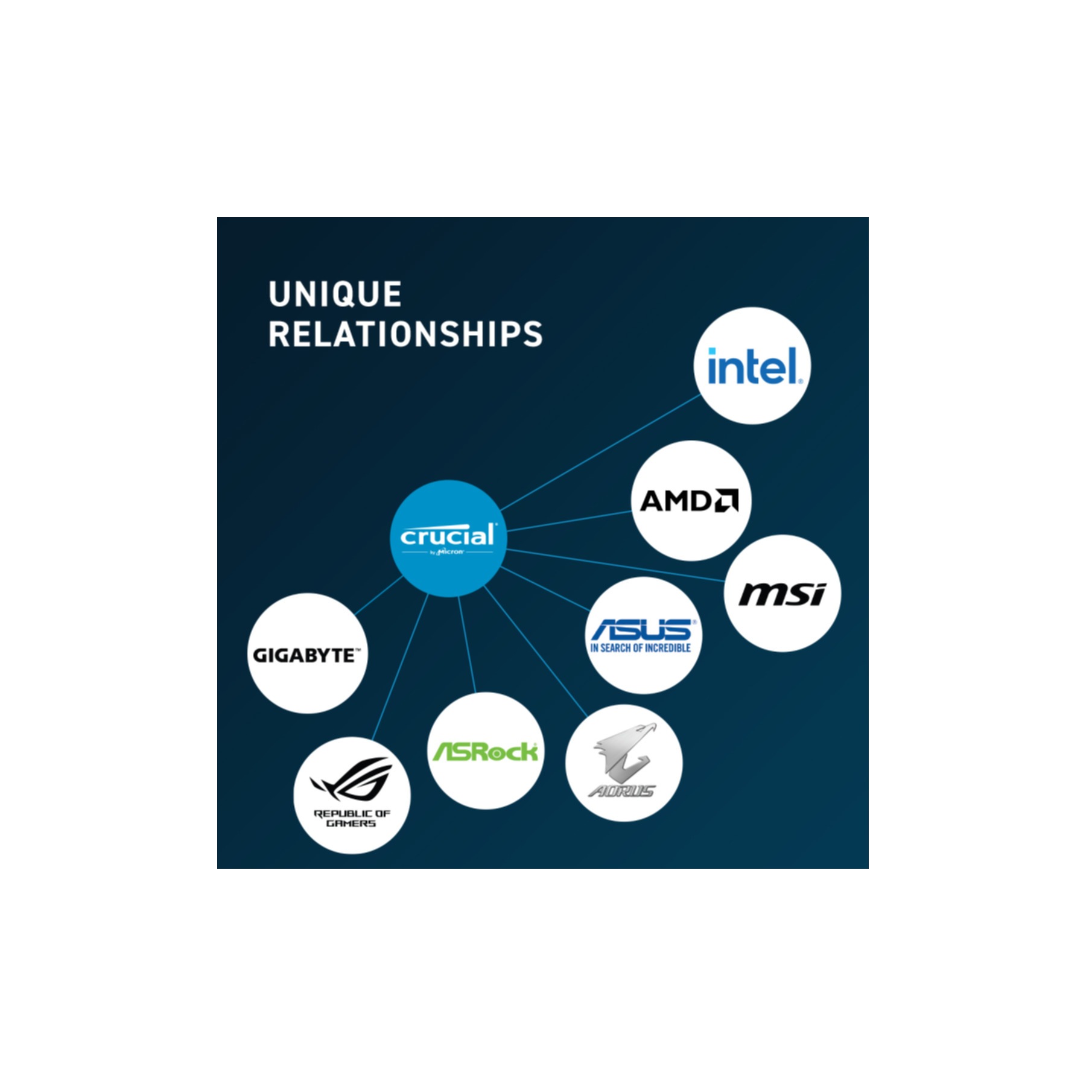 Crucial Arbeitsspeicher »CT16G56C46S5«