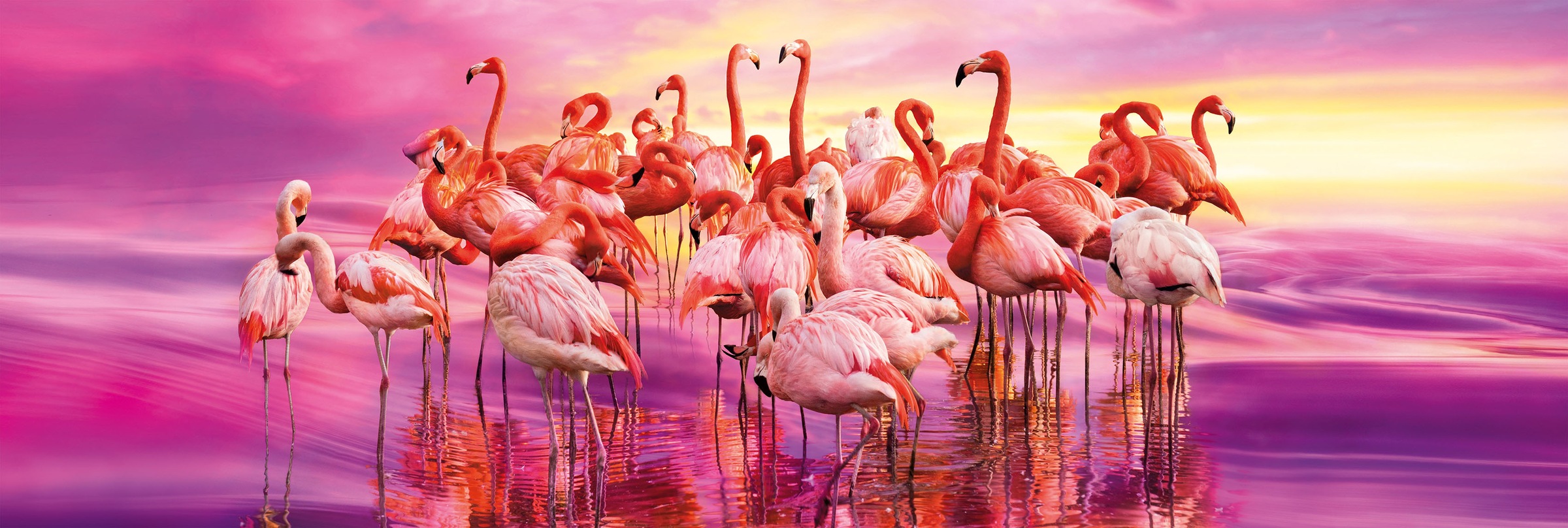 Clementoni® Puzzle »Panorama High Quality Collection, Tanz der Flamingos«, Made in Europe