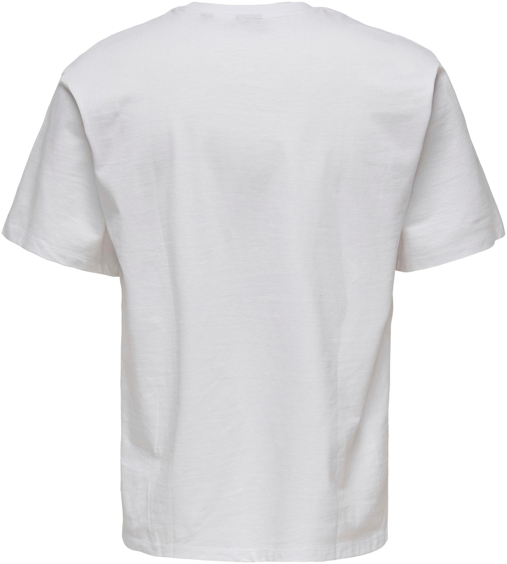 ONLY & SONS T-Shirt »FRED«