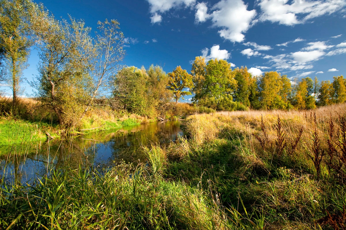 Papermoon, Fototapete »Fluss durch Feld«, bunt, Vlies, B/L: 5 m m x 2,8 m m - Bahnen: 10 Stk. St., bunt