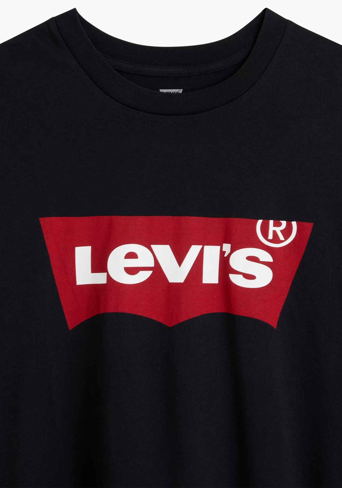Levi's® Plus T-Shirt »LE B&T BIG GRAPHIC TEE«, mit Logofrontprint