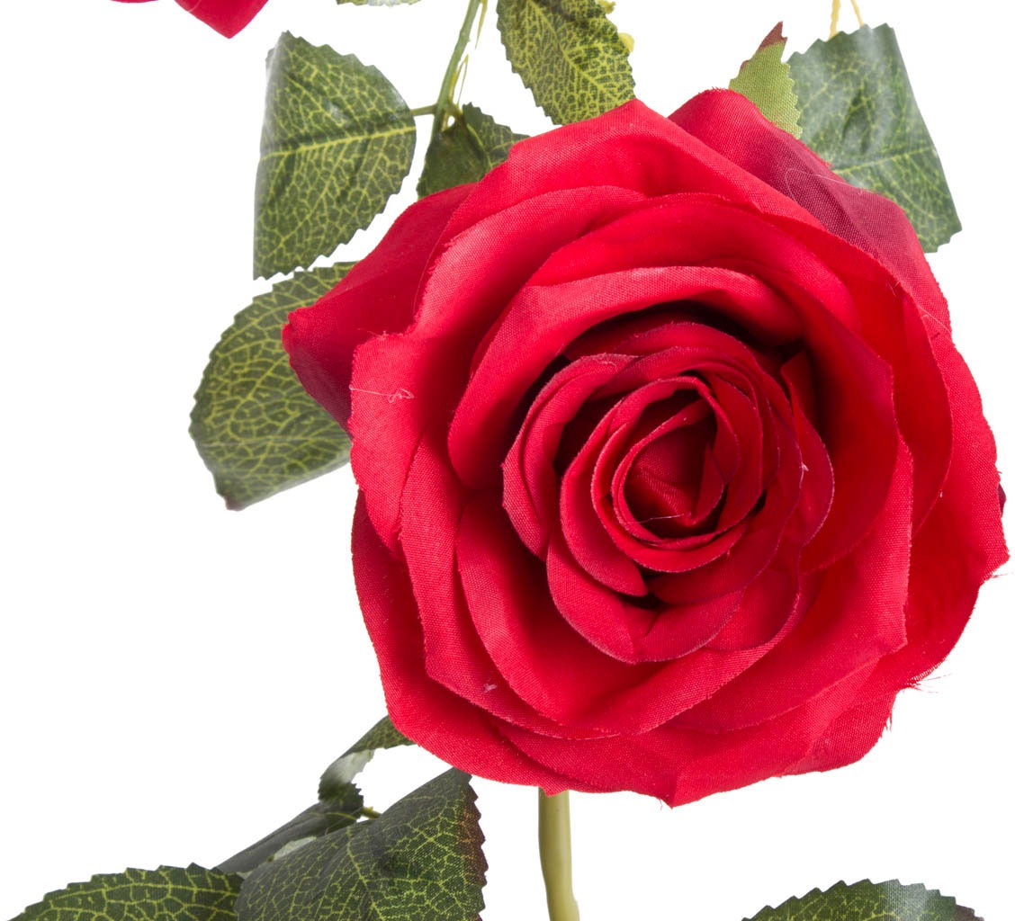 auf »Rosengirlande Kunstblume kaufen Botanic-Haus Raten Dijon«