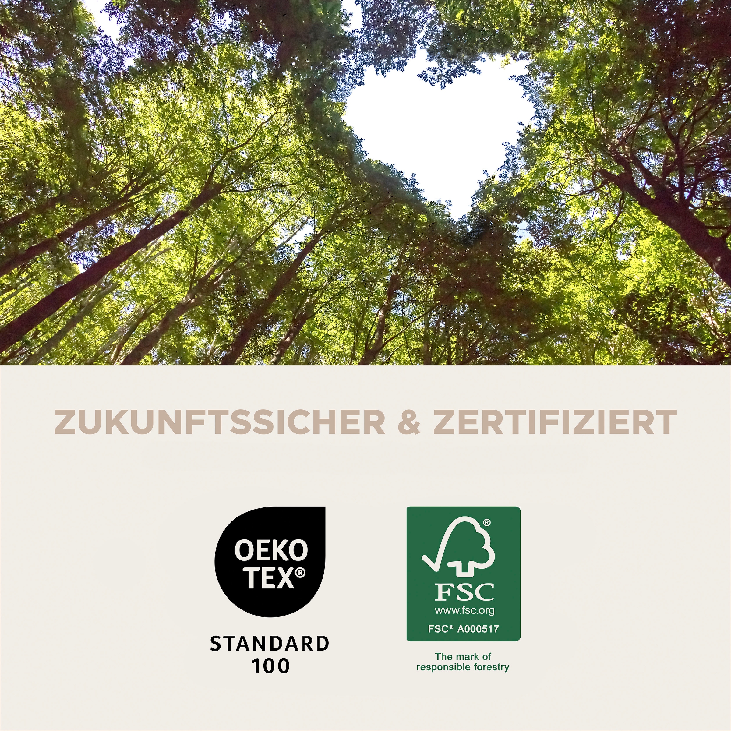 Home affaire Esszimmerstuhl »BARRIE, 2er Set, mit Metallgestell in matt schwarz« (Set) 2 Stk.in verschiedenen Farben, Belsatbarkeit pro Stuhl 120 kg