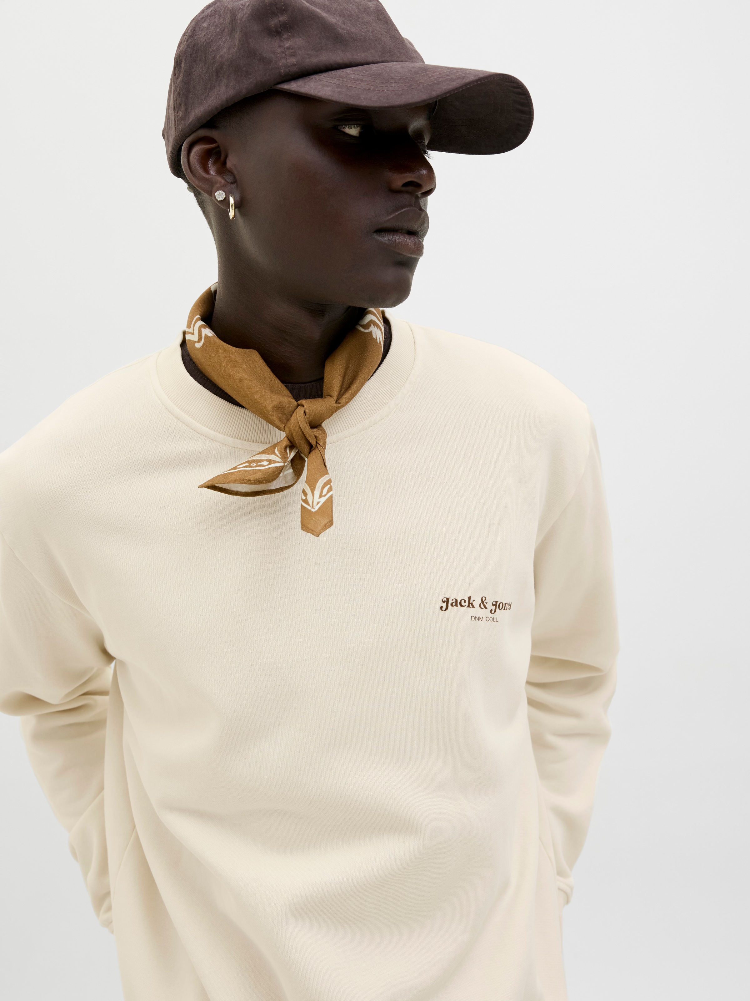 Jack & Jones Sweatshirt »JJEDOVER PRINT SWEAT CREW NECK«