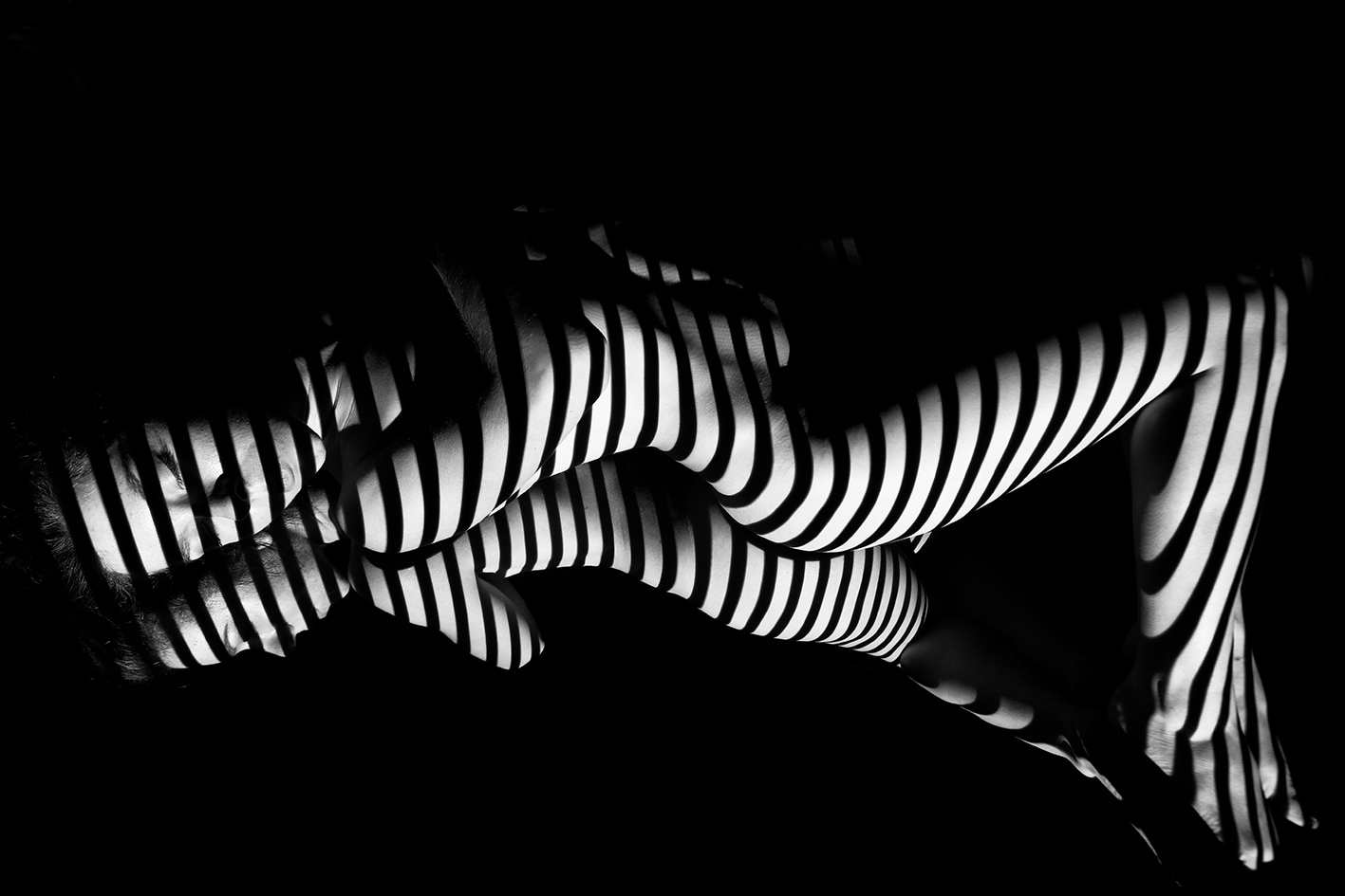 queence Alu-Dibond-Druck »Nackter Frauenkörper mit Schatten umhüllt« Bilder von Frauen | Erotische Bilder | Frau | Körper | Modern | Personen 1 Stk. tlg. Sinnliche Wandbilder in Galeriequalität inkl. Aufhängesystem