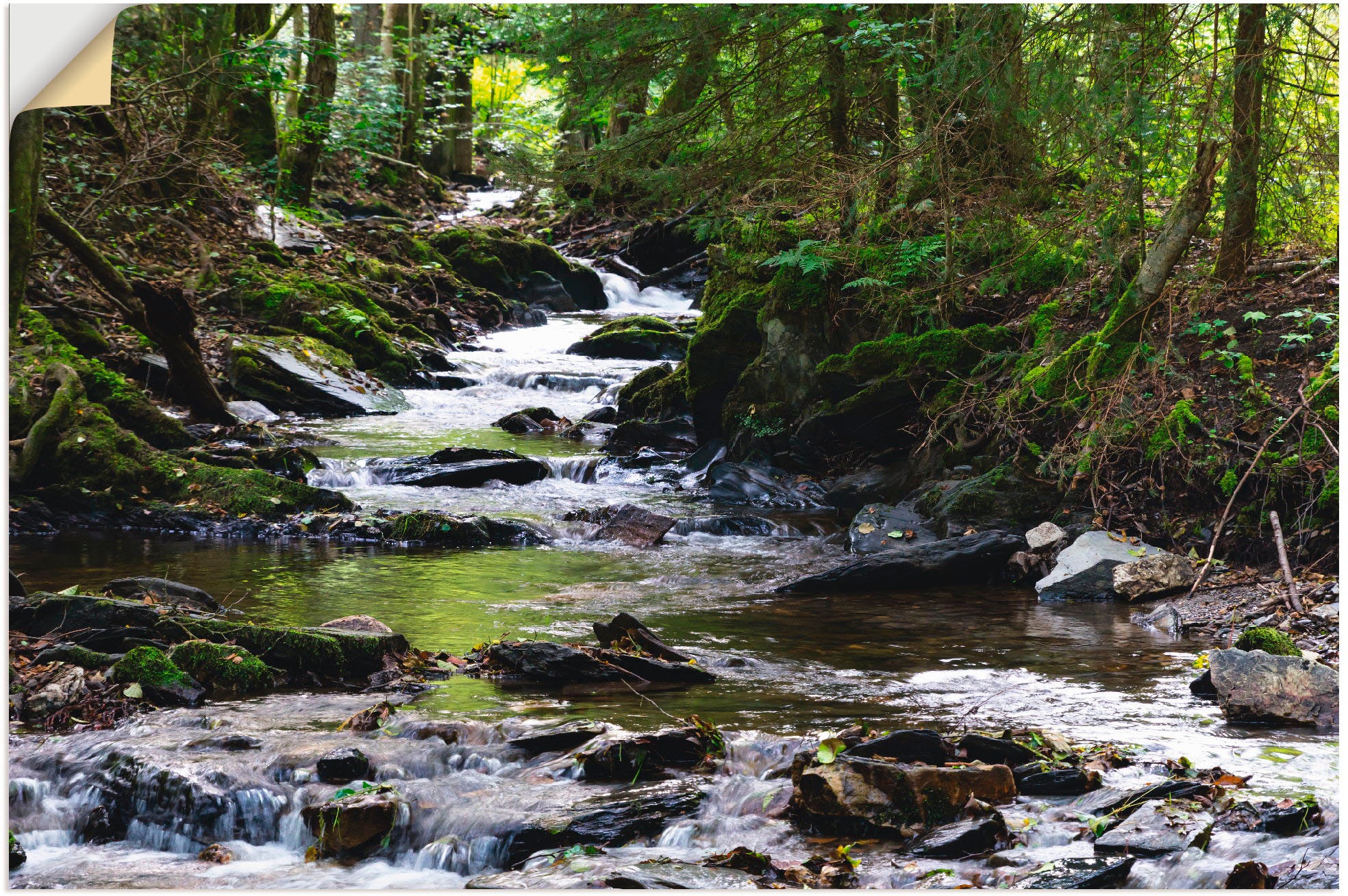 Wandbild »Bachlauf im Wald«, Gewässer, (1 St.), als Alubild, Outdoorbild,...