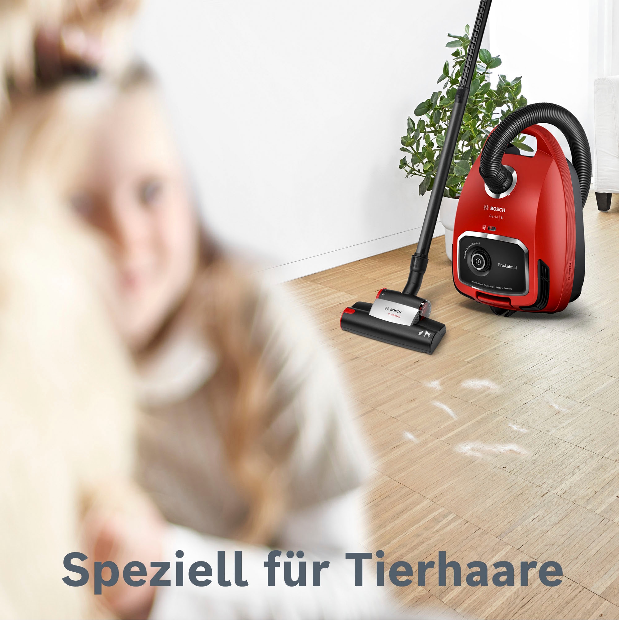 BOSCH Bodenstaubsauger »ProAnimal Serie 6, BGL6TPET«, 700 W, mit Beutel, Ideal für Haustierbesitzer