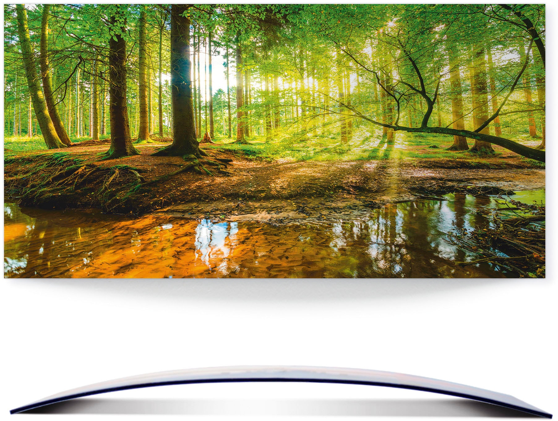 Artland Wandbild »Wald mit Bach«, Wald, (1 St.), 3D Optik gebogen kaufen