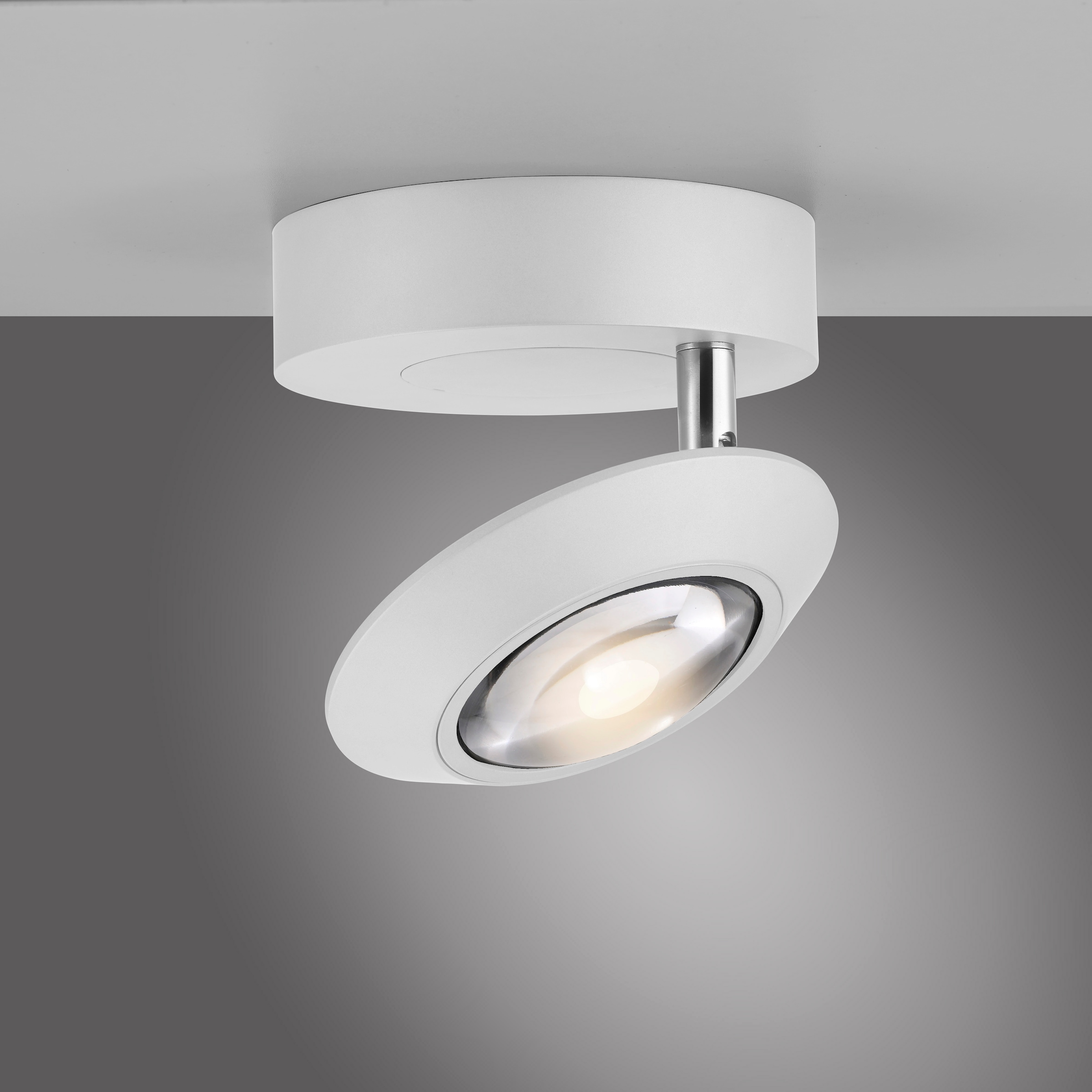 Neuhaus PURE LED Deckenleuchte »PURE Oculis« LED-Board 1 Stk. Warmweiß Dimmfähig über separaten Tronicdimmer, dreh- & schwenkbar