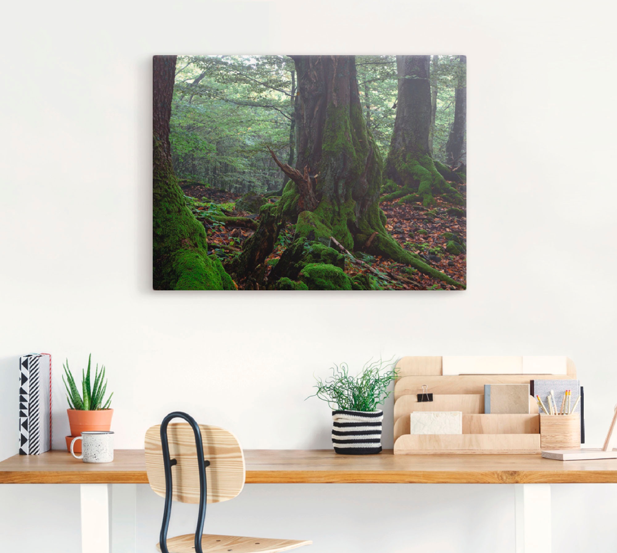 Artland Leinwandbild »Alte Bäume am Kraterrand«, Wald, (1 St.), auf Keilrahmen gespannt