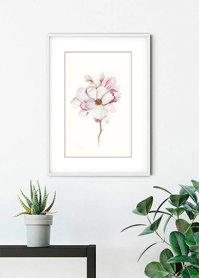 Komar Bild »Magnolia Blossom« Blumen 1 Stk. tlg. Wandbild zur Dekoration - ohne Rahmen