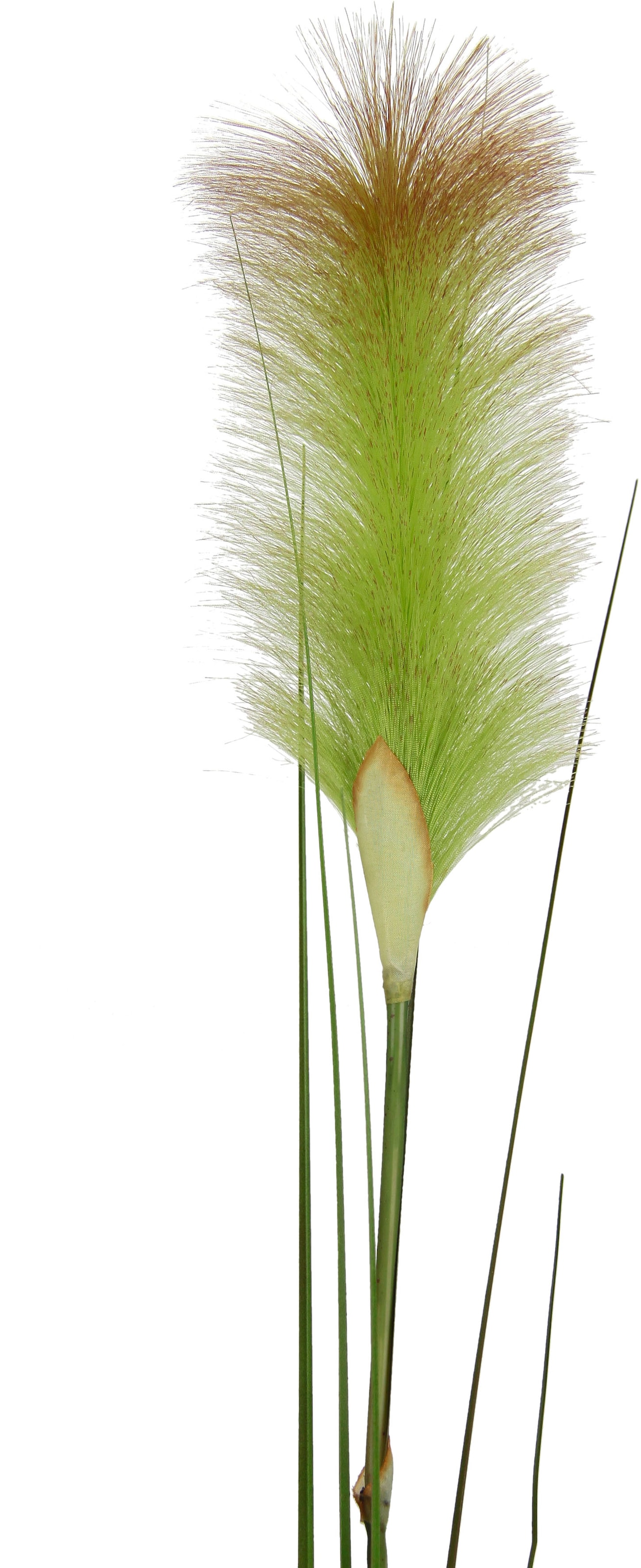 I.GE.A. Kunstpflanze »Pampas« Pampasgras, Boho, 2er Set