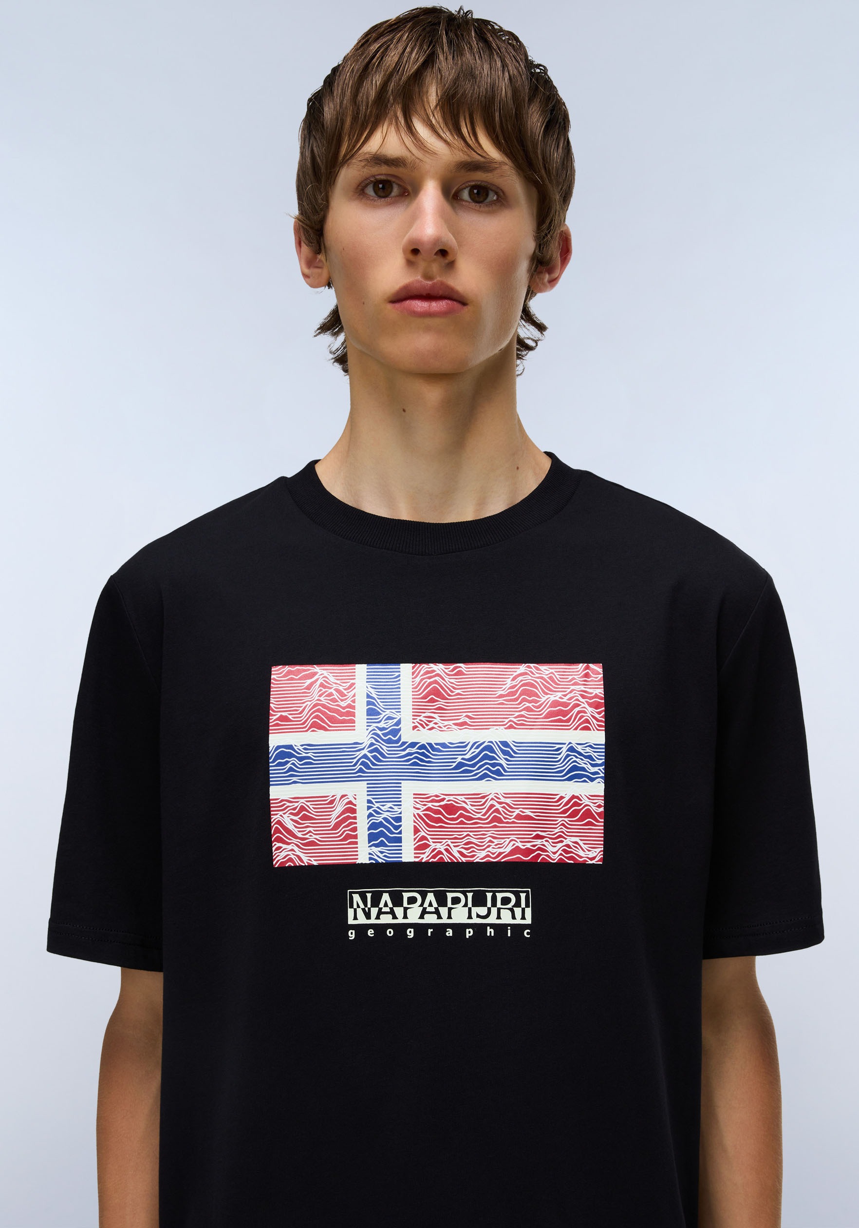 Napapijri T-Shirt »DRAPEAU« mit Print, Rundhals, Jersey