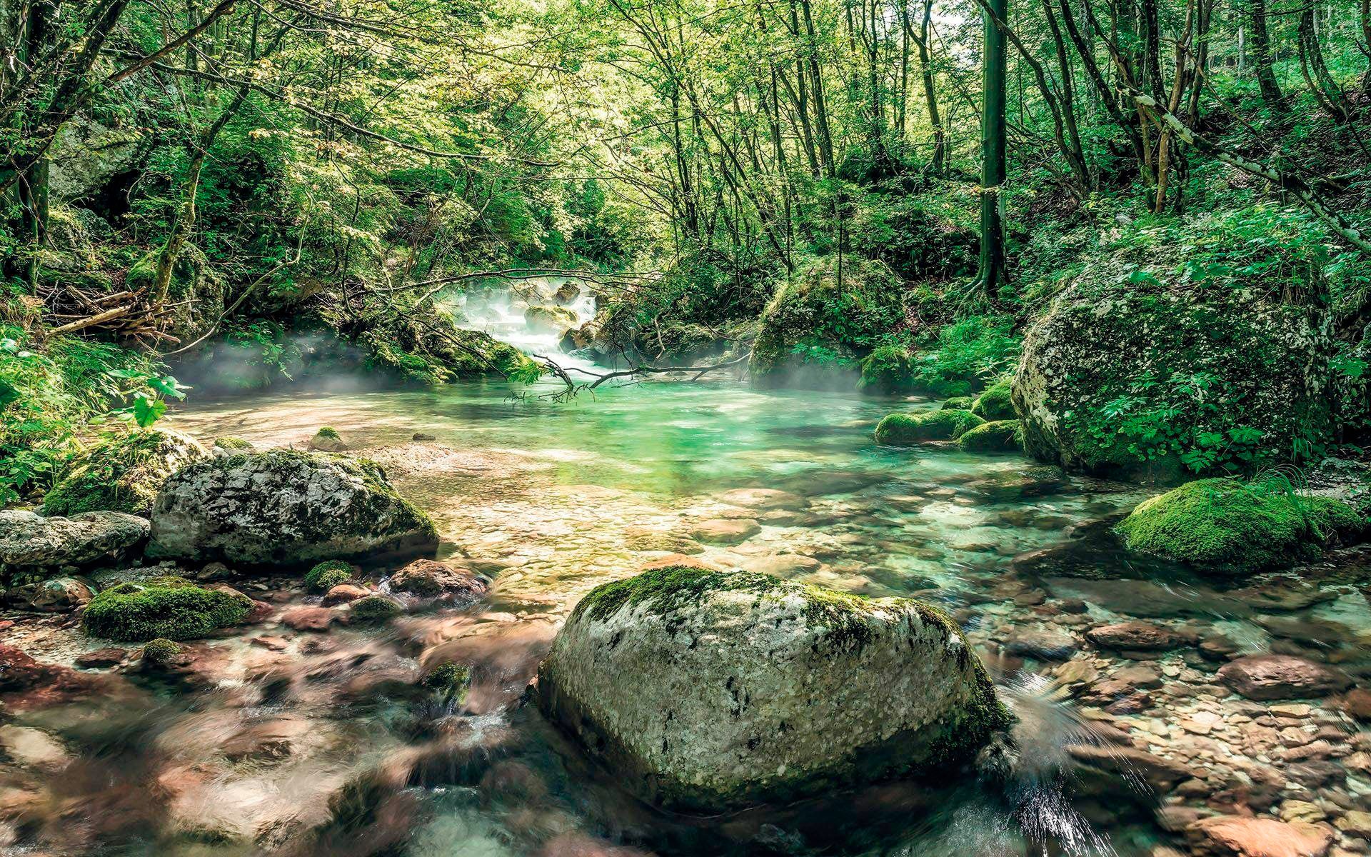 Vliestapete »Tranquil Pool«, 400x250 cm (Breite x Höhe), Vliestapete, 100 cm Bahnbreite