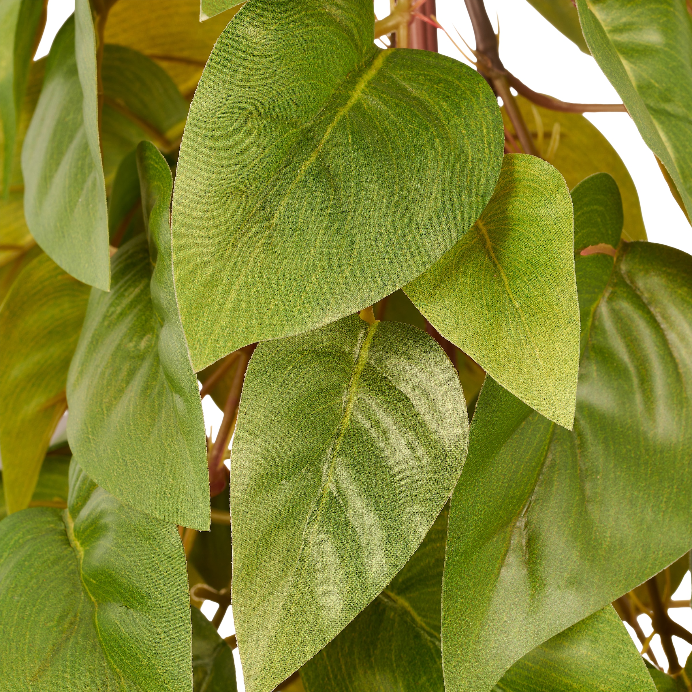 Creativ green Kunstbaum »Philodendron scandens« in Pyramidenform